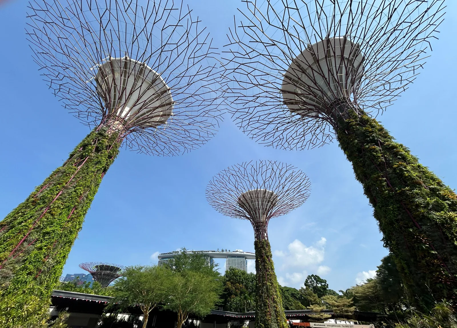 Gardens by the Bay