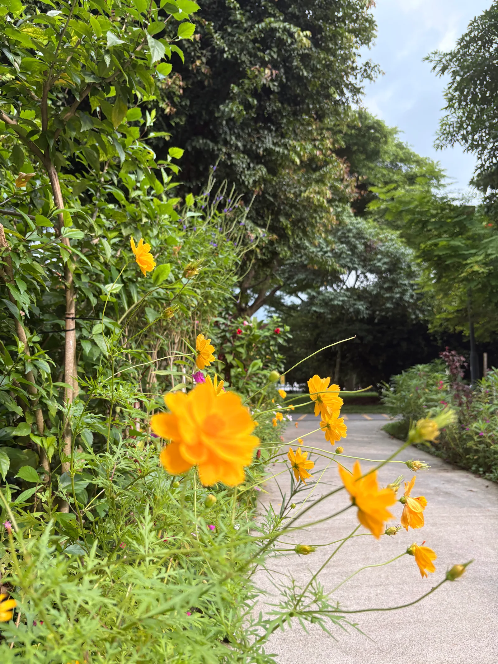 Jurong Central Park β romantic guide Singapore