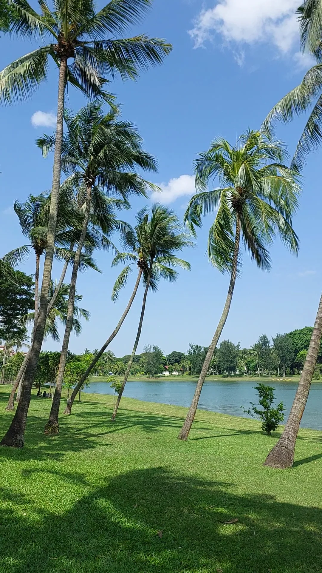 Details at Kallang Riverside Park Singapore — travel photo