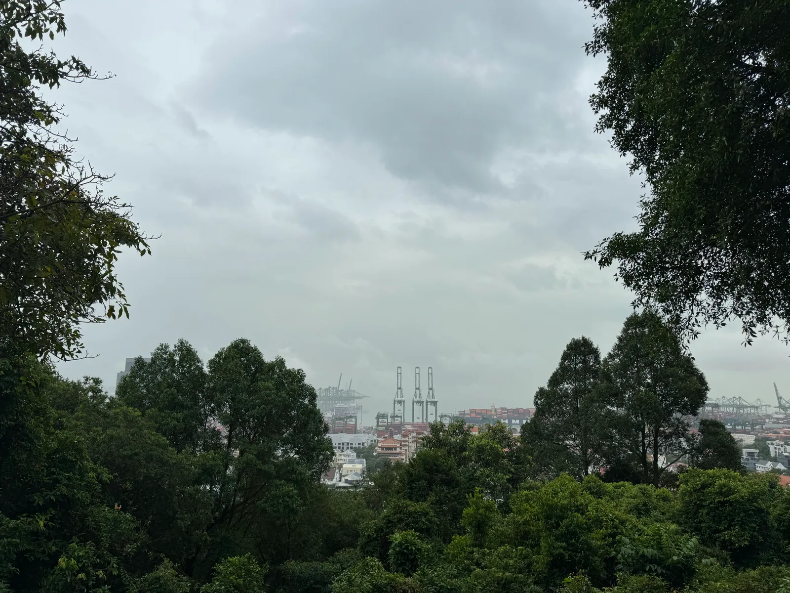 Atmosphere at Kent Ridge Park Singapore — travel photo