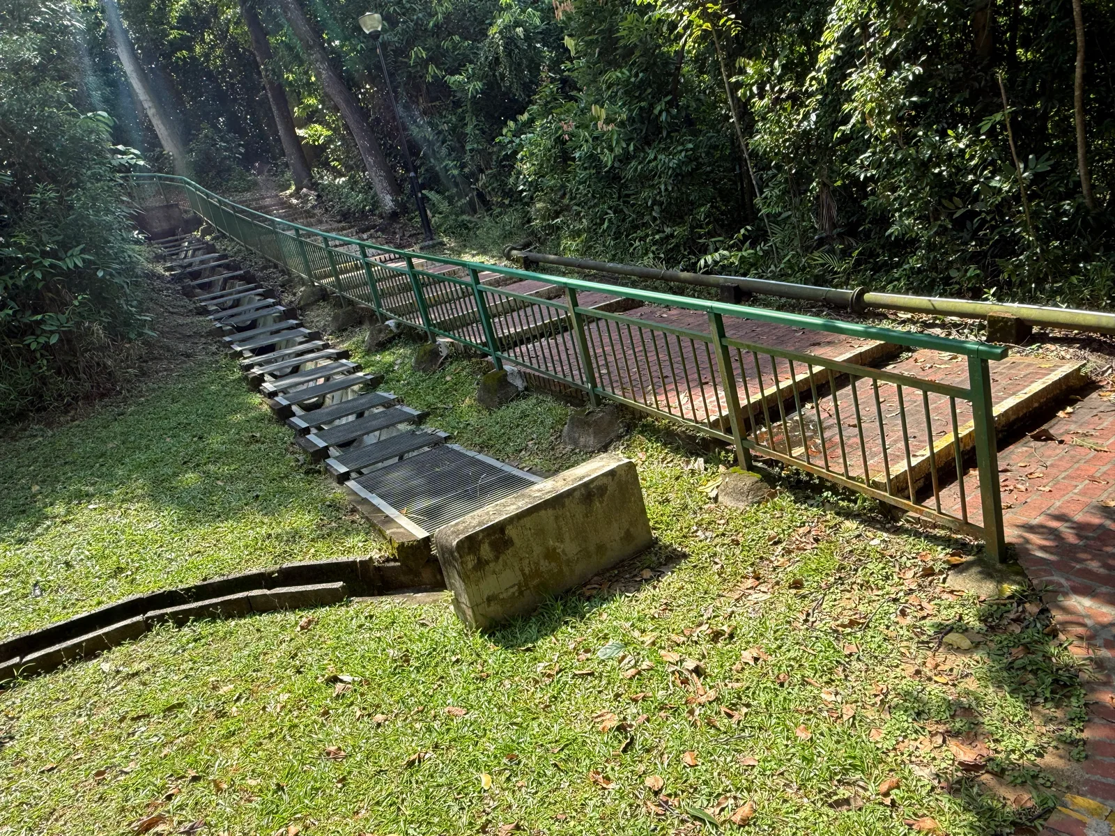 Kent Ridge Park โ romantic guide Singapore