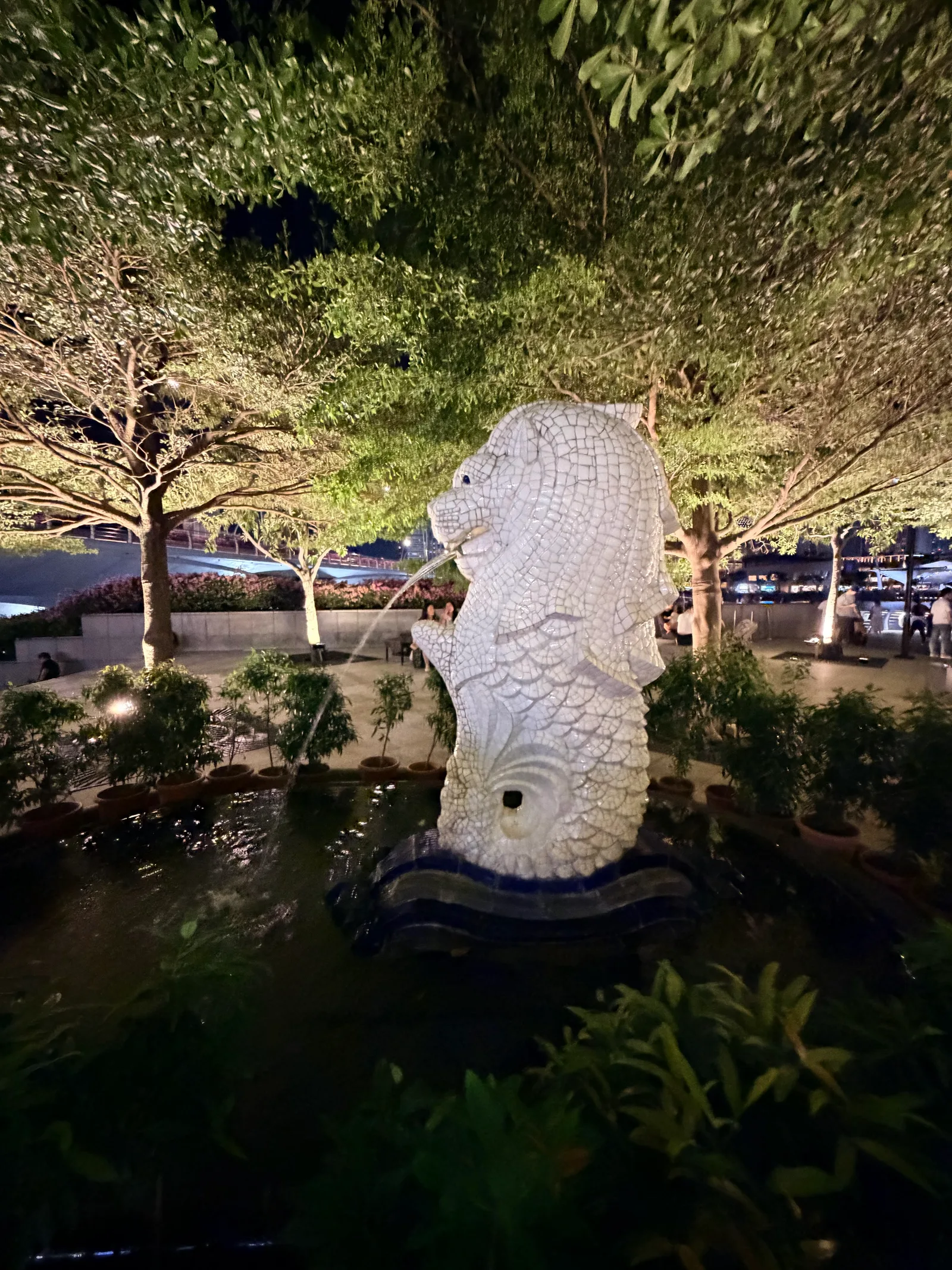 Atmosphere at Merlion Park Singapore — travel photo