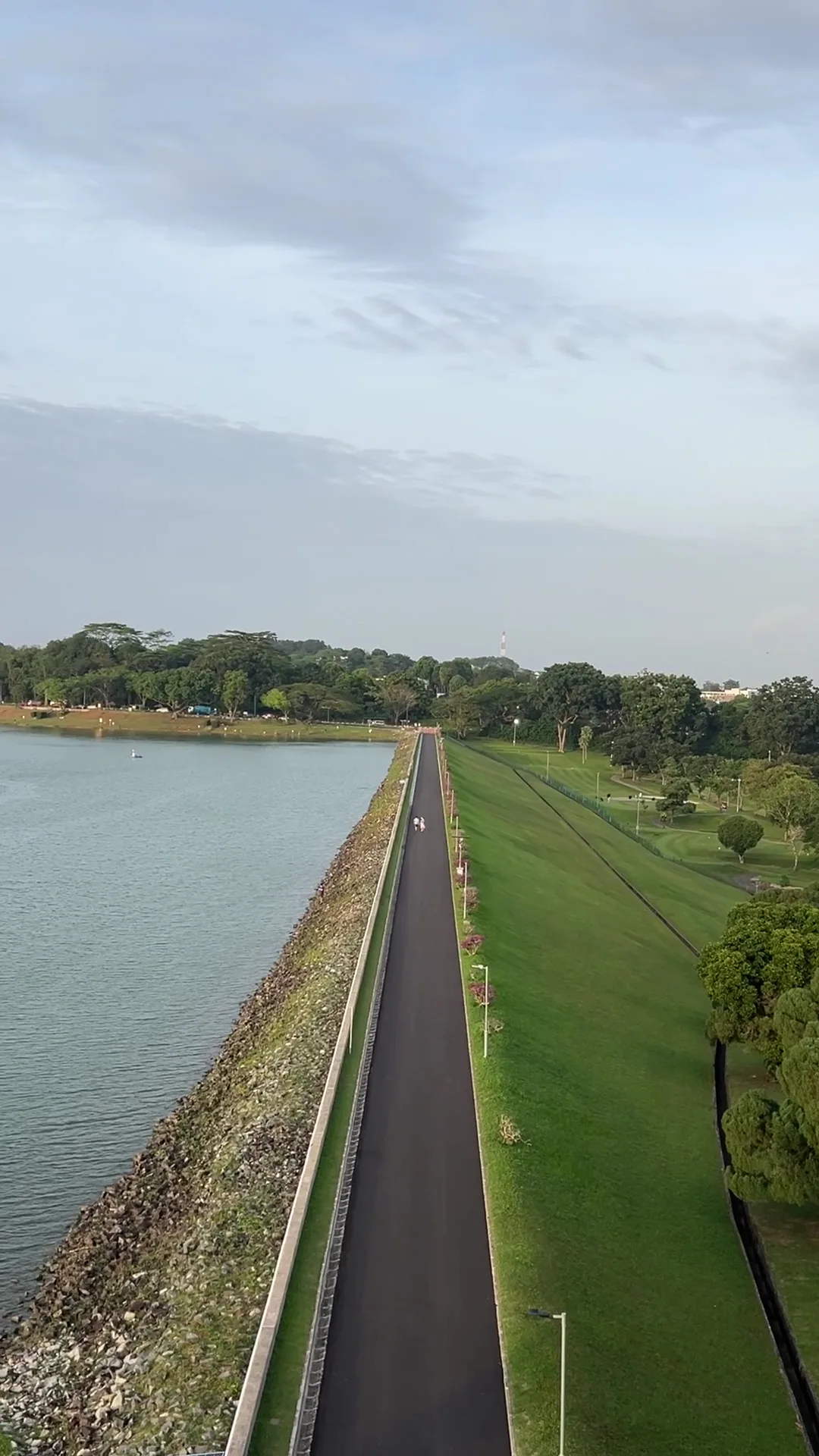 Details at Upper Seletar Reservoir Park Singapore — travel photo