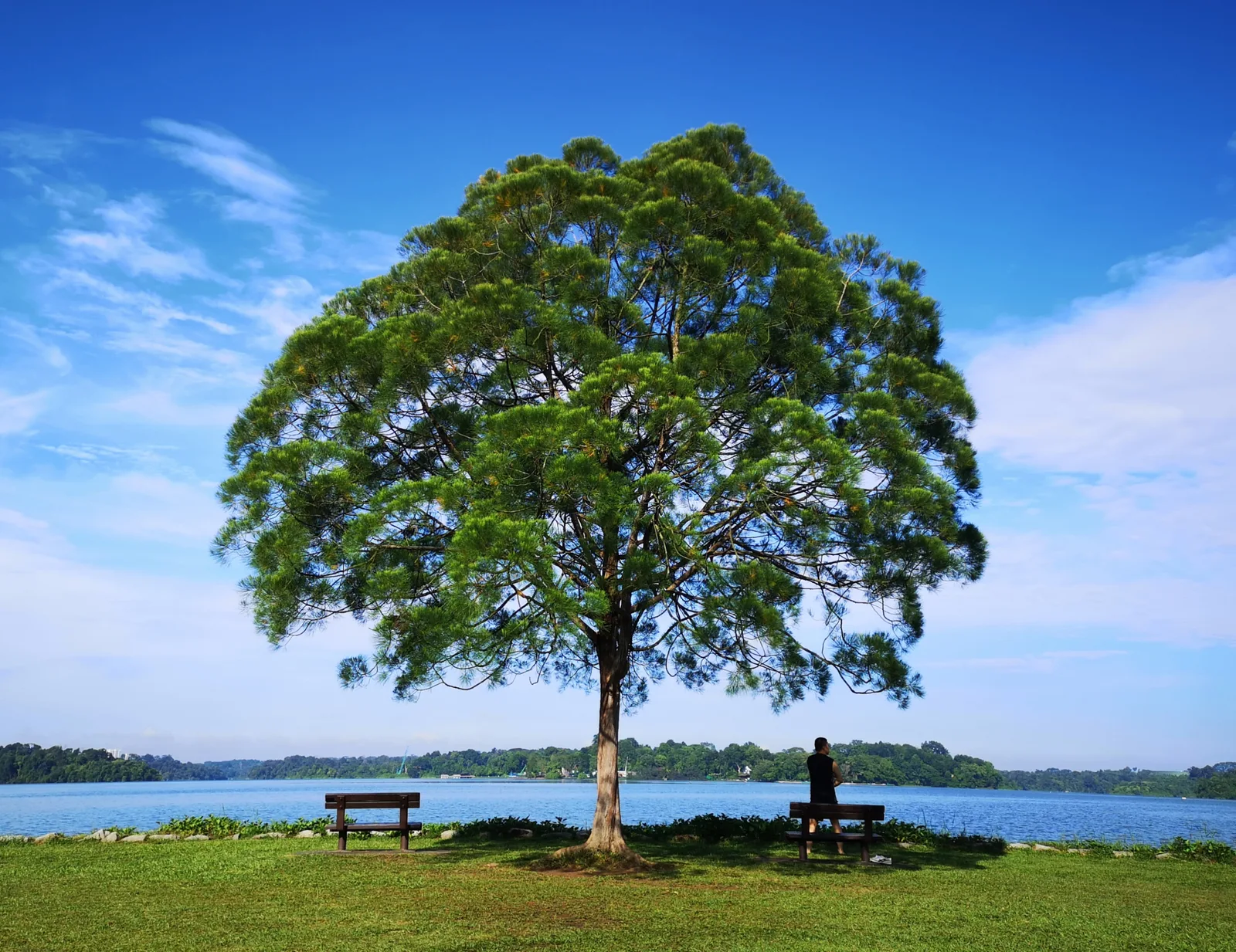 Atmosphere at Upper Seletar Reservoir Park Singapore — travel photo