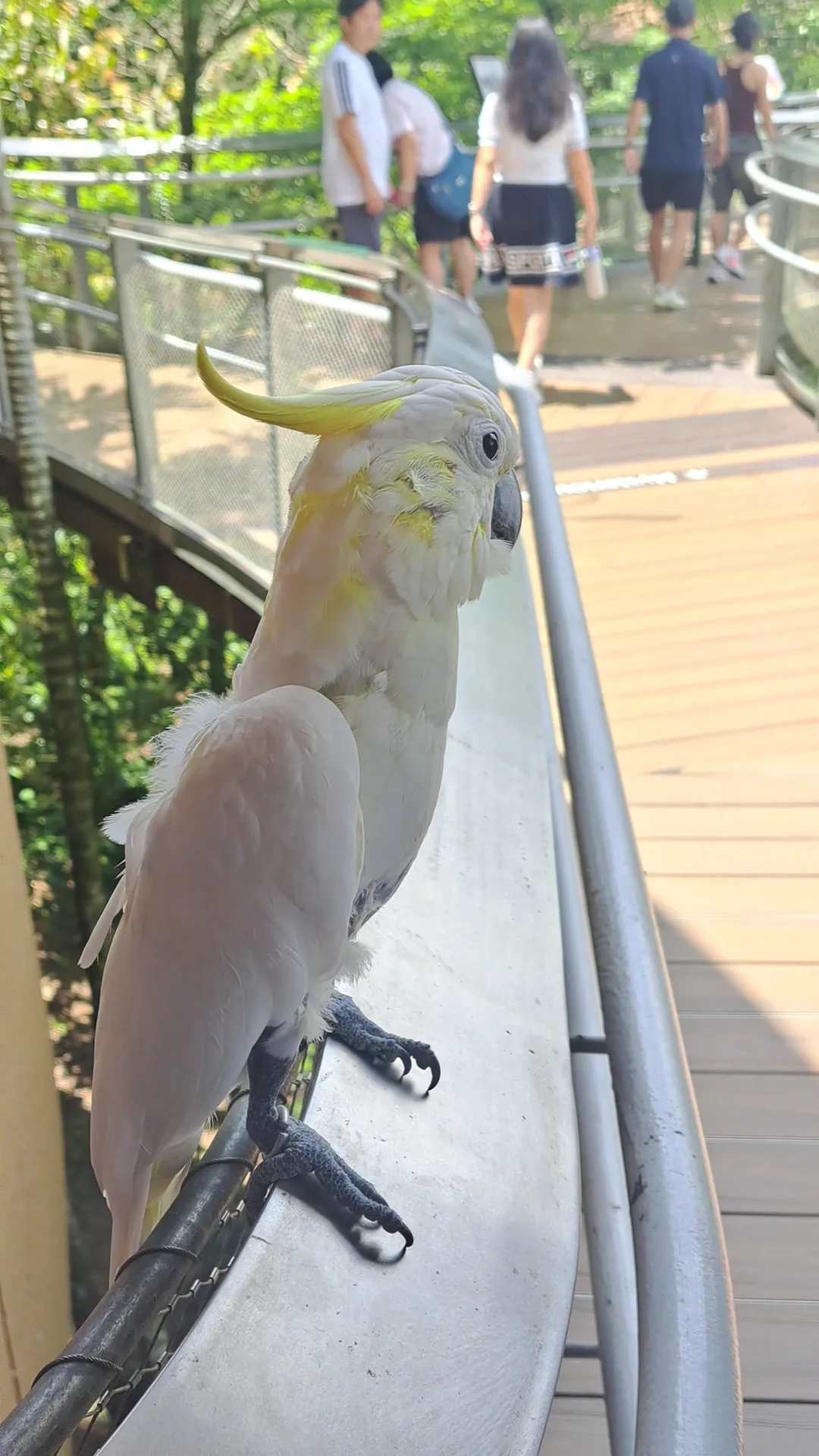 Interior at Bird Paradise Singapore — travel photo