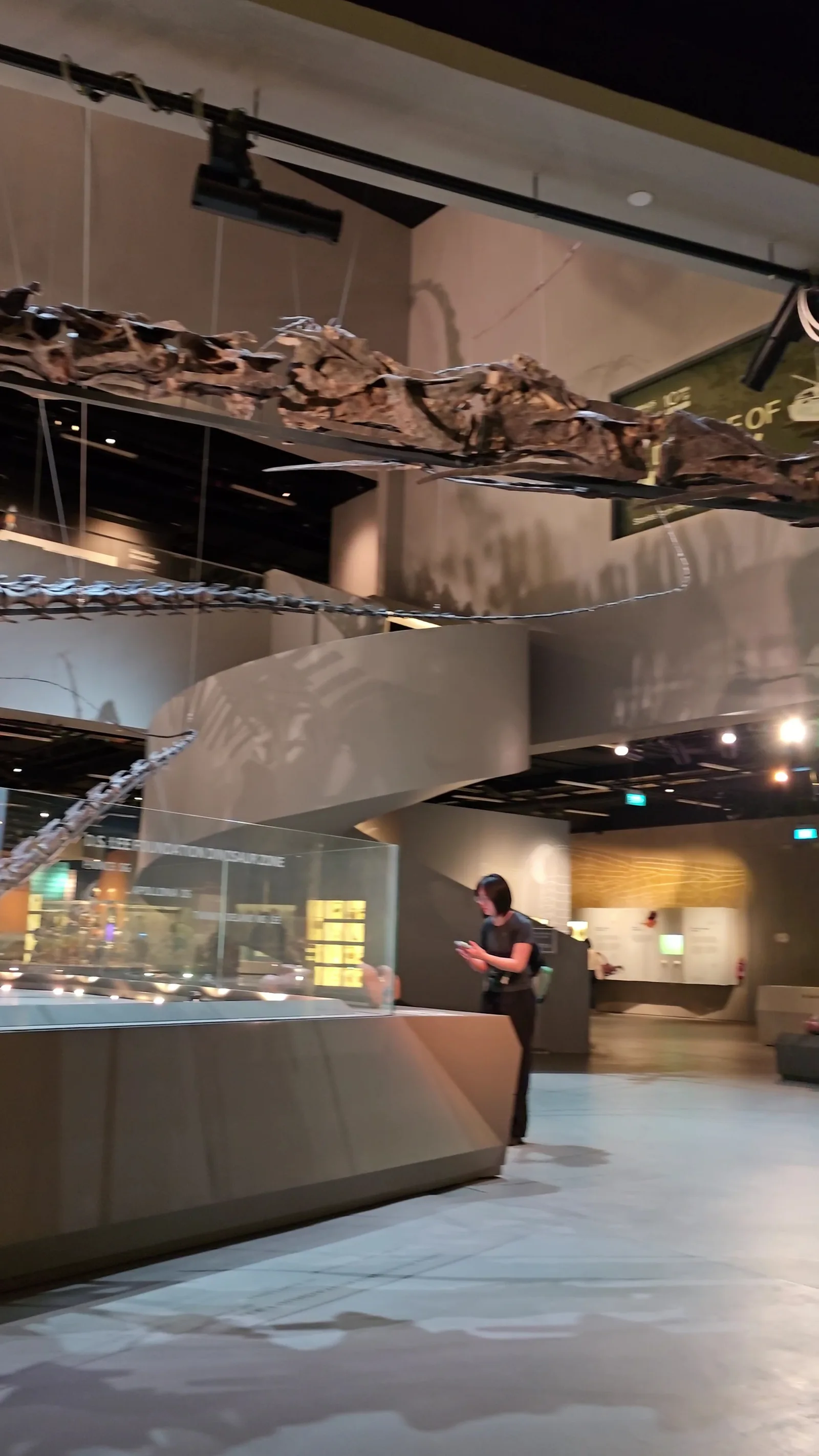 Interior at Lee Kong Chian Natural History Museum, Singapore Singapore — travel photo