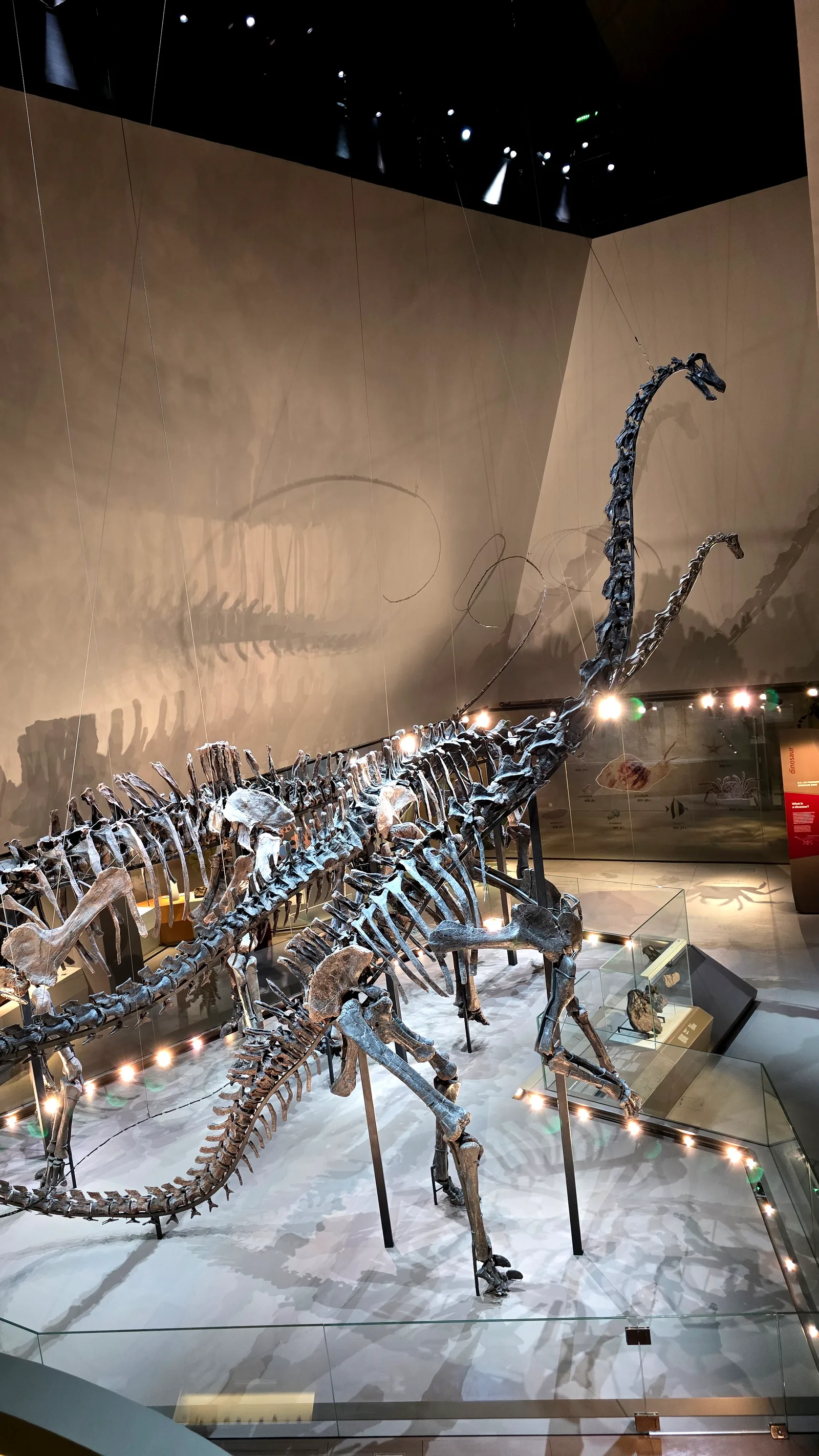 Around the area at Lee Kong Chian Natural History Museum, Singapore Singapore — travel photo