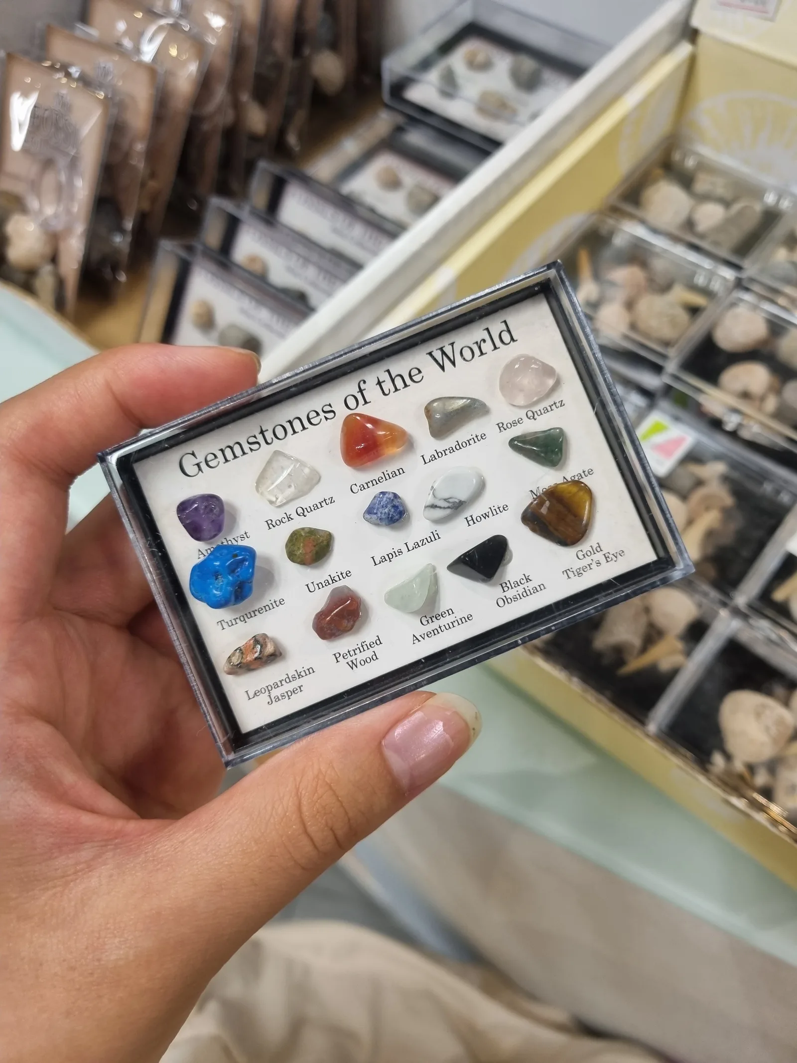 Lee Kong Chian Natural History Museum, Singapore — family guide Singapore