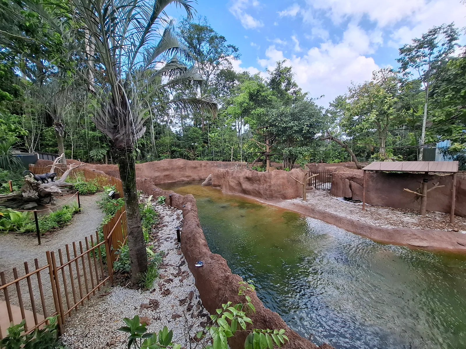 Details at Rainforest Wild Adventure WEST Singapore — travel photo