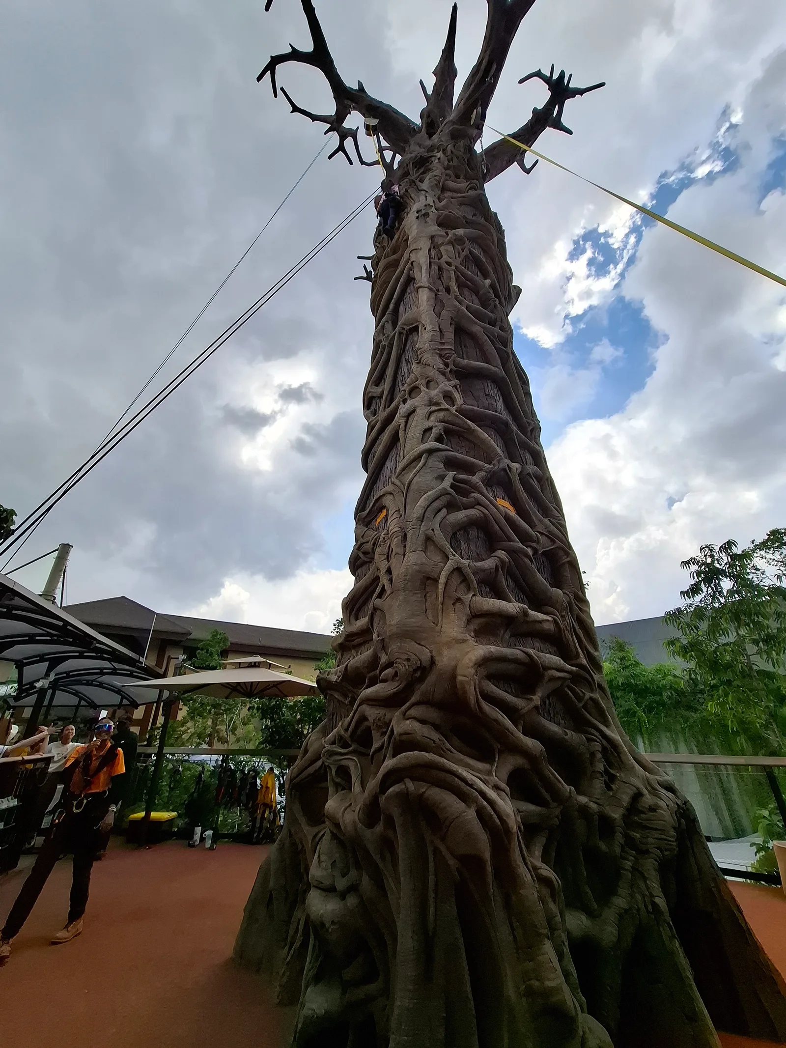 Atmosphere at Rainforest Wild Adventure WEST Singapore — travel photo