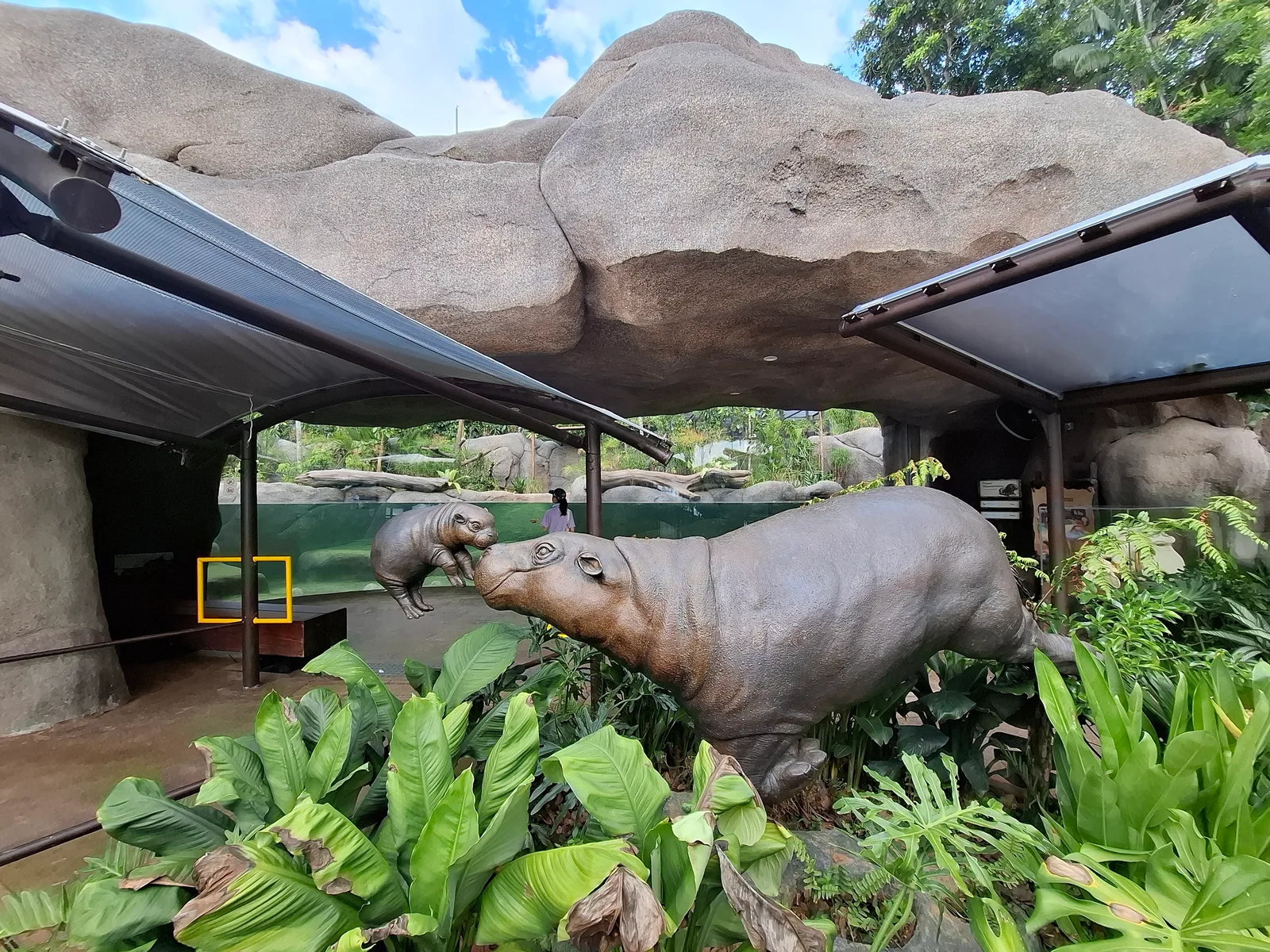 Around the area at Rainforest Wild Adventure WEST Singapore — travel photo