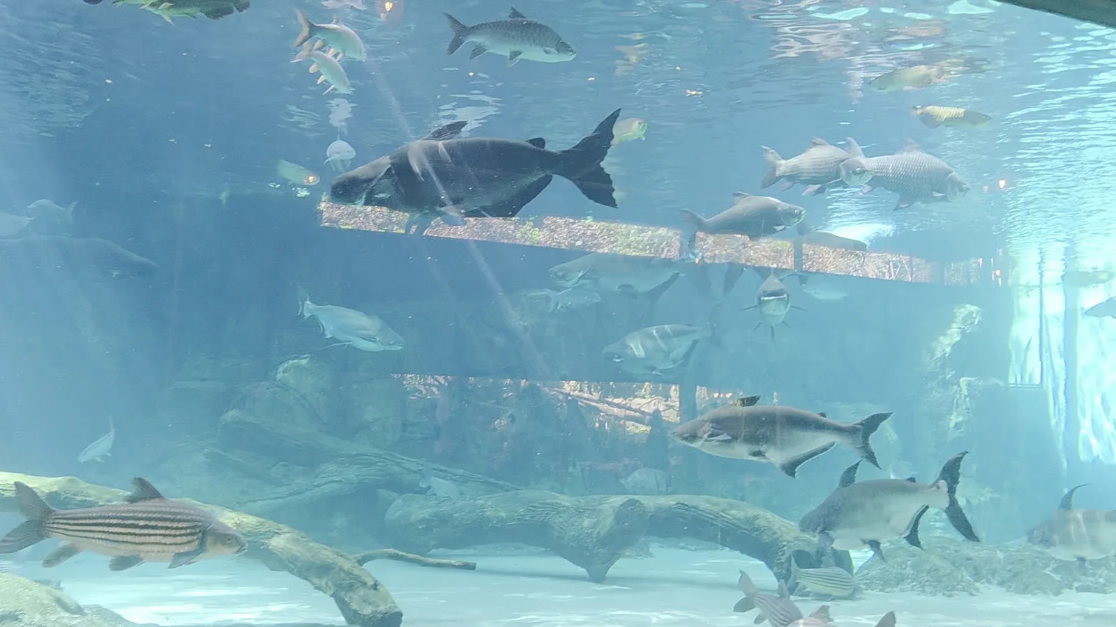 Atmosphere at River Wonders Singapore — travel photo