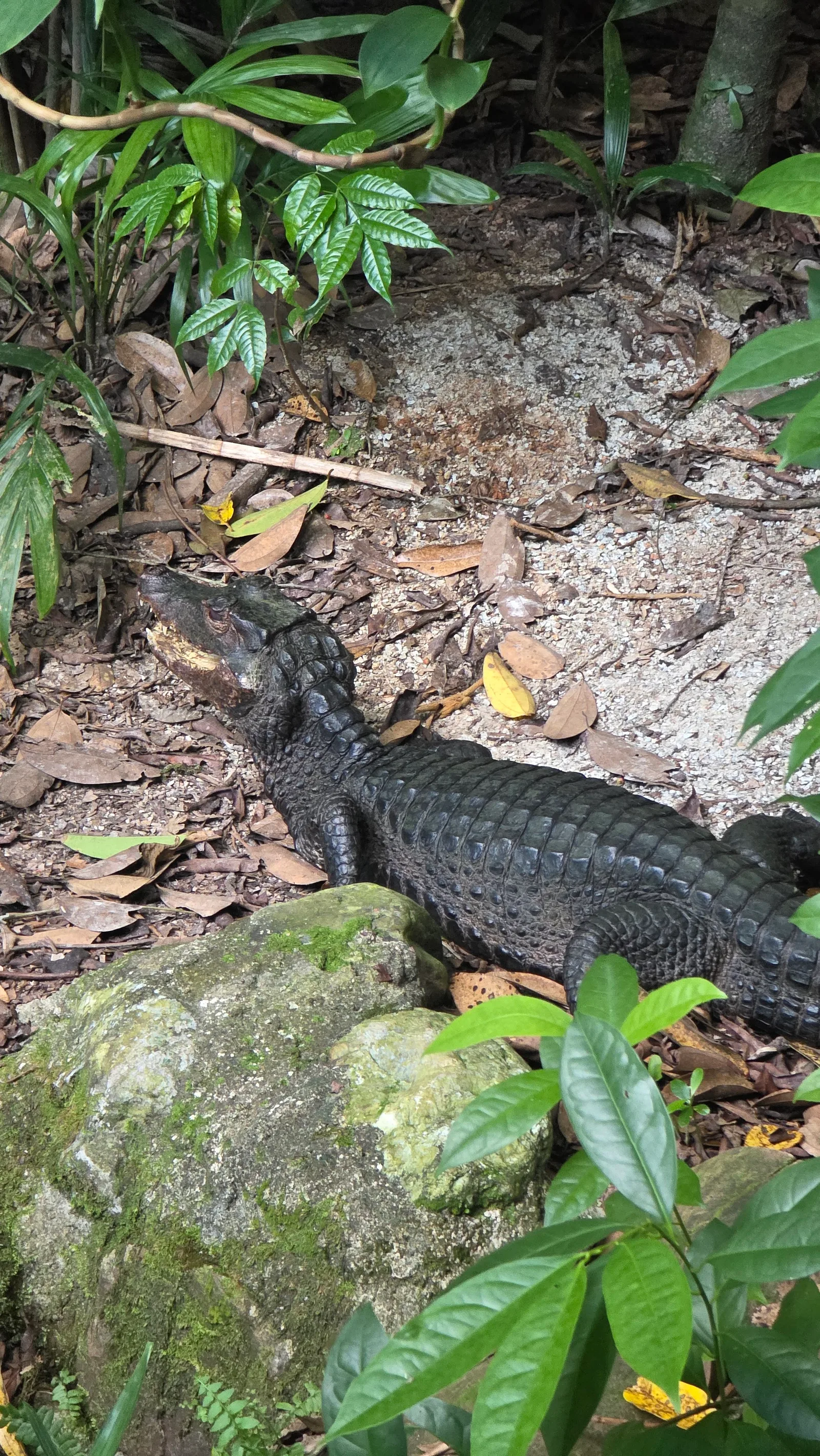 Around the area at River Wonders Singapore — travel photo