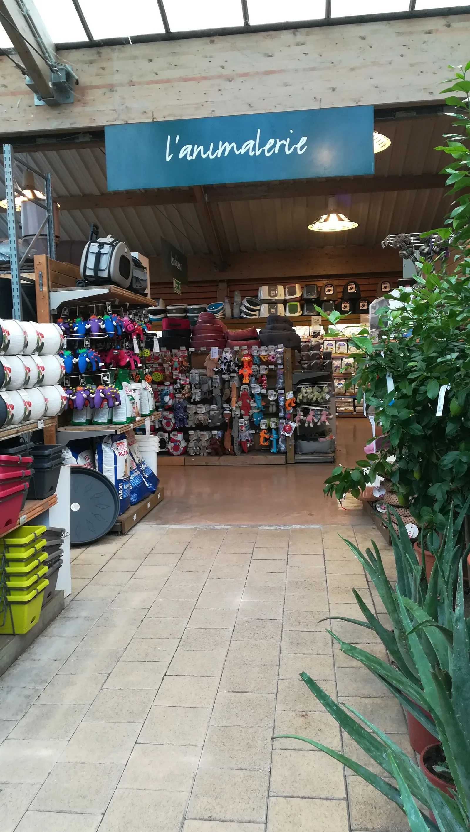 Interior at botanic Strasbourg Strasbourg — travel photo