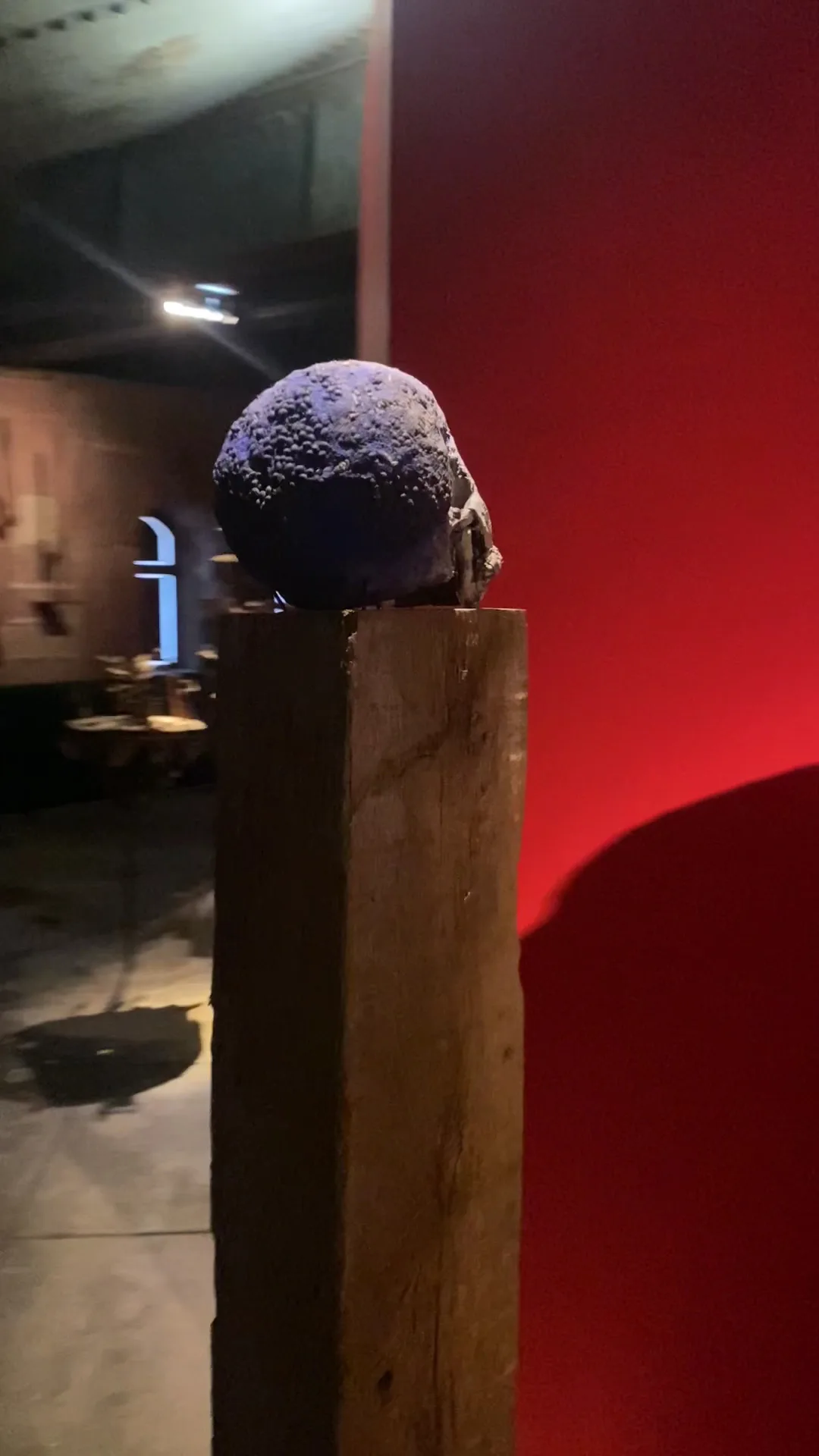 Main view at Château Musée Vodou Strasbourg — travel photo