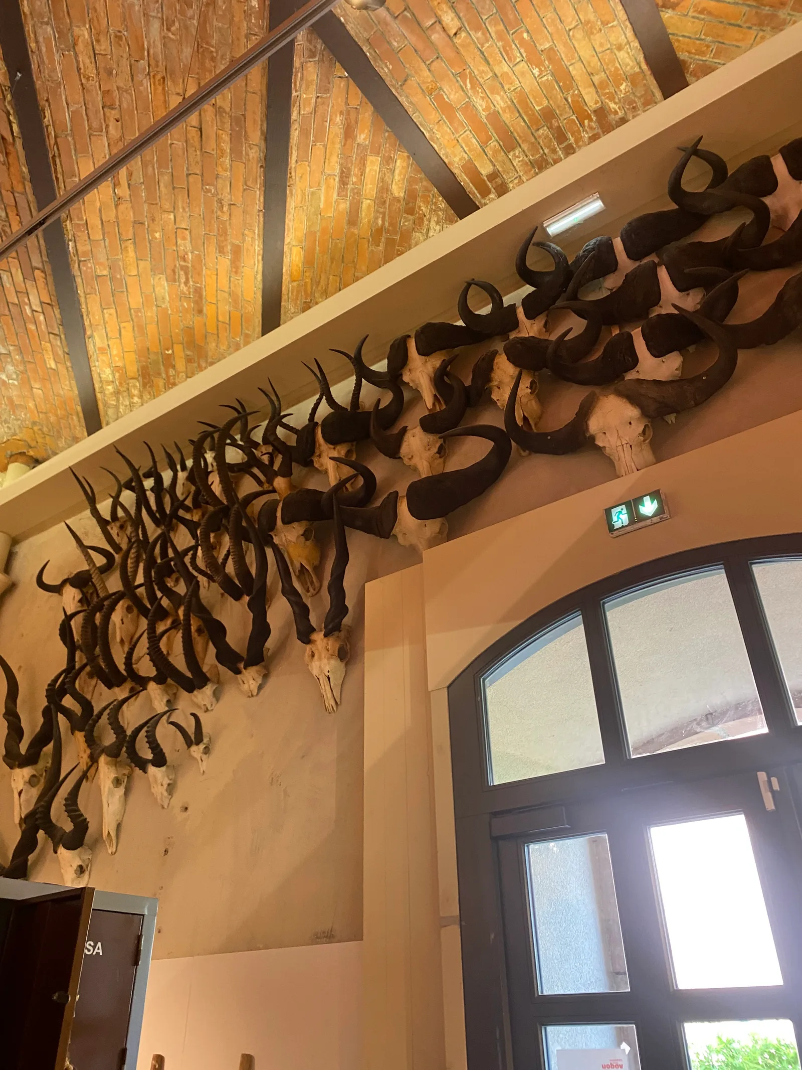 Atmosphere at Château Musée Vodou Strasbourg — travel photo