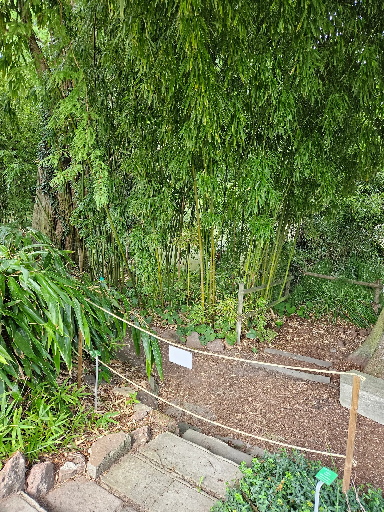 Main view at Jardin Botanique de l'université de Strasbourg Strasbourg — travel photo