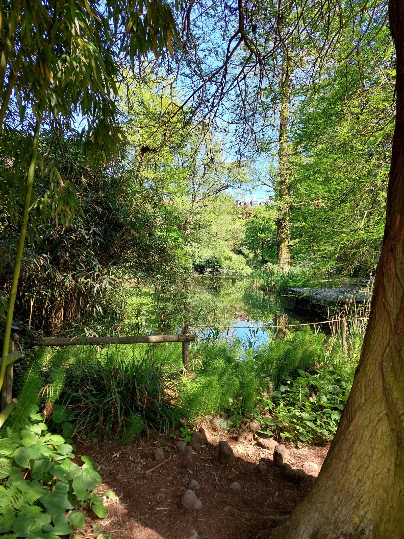 Atmosphere at Jardin Botanique de l'université de Strasbourg Strasbourg — travel photo