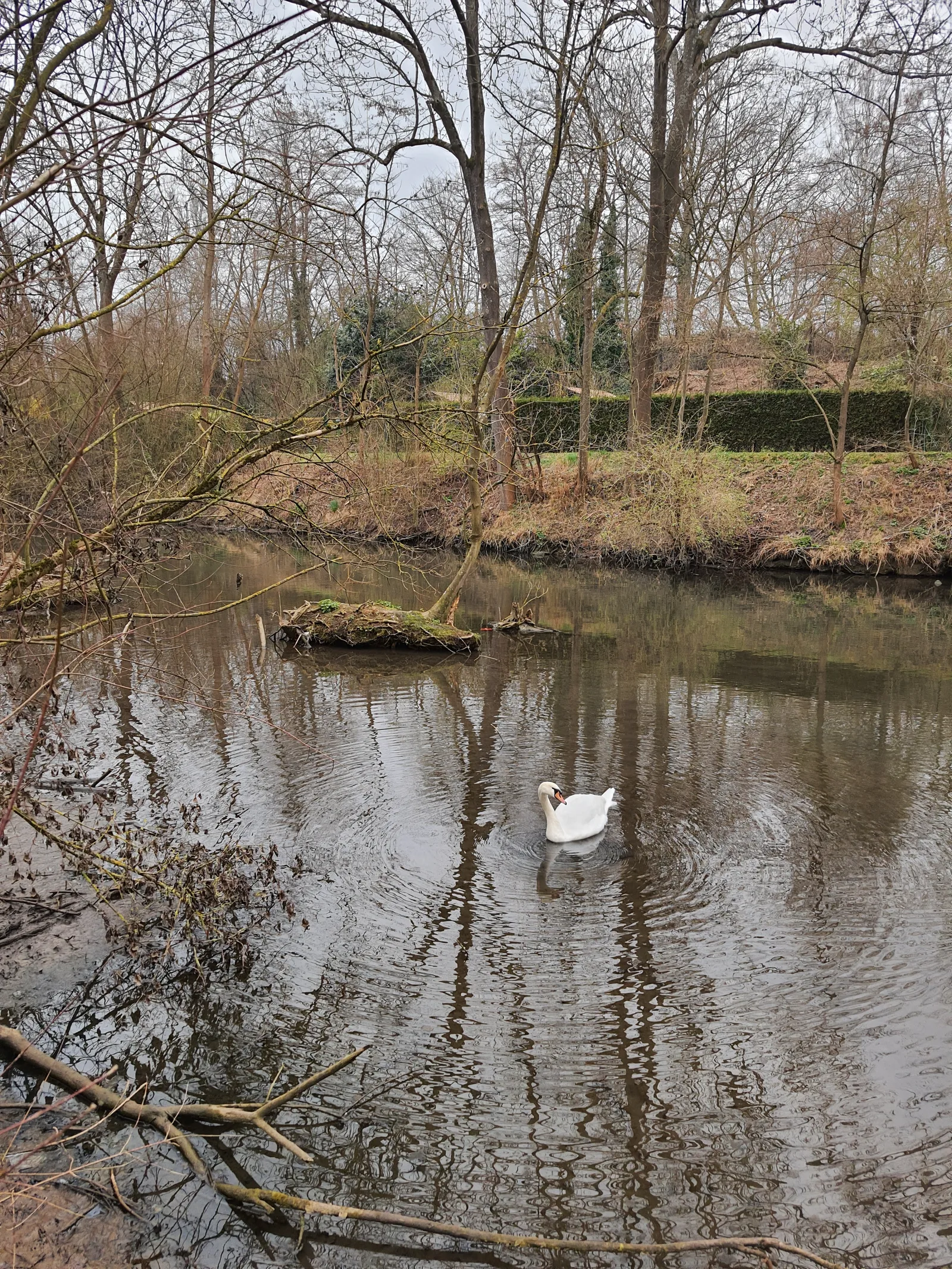 Atmosphere at Parc du Glacis Strasbourg — travel photo