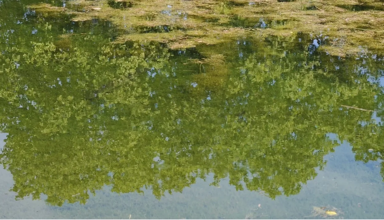 Atmosphere at Parc du Heyritz Strasbourg — travel photo