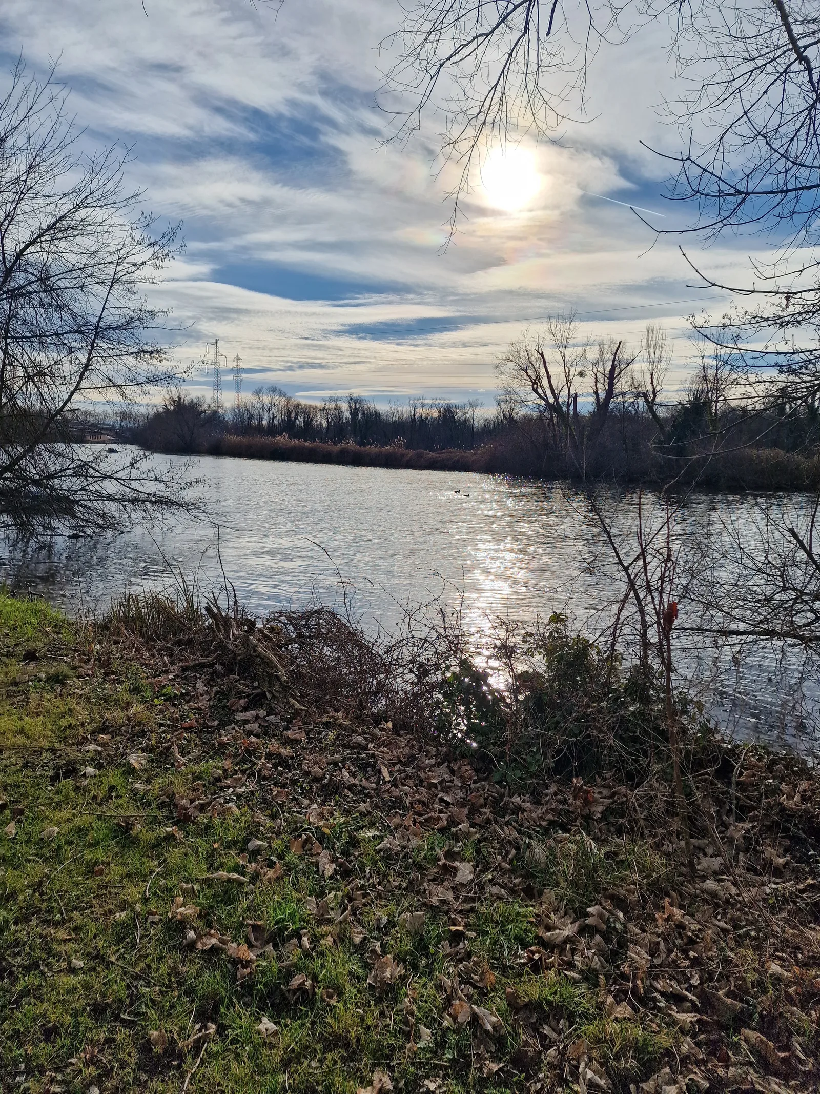 Interior at Parc naturel urbain Ill Bruche Strasbourg — travel photo
