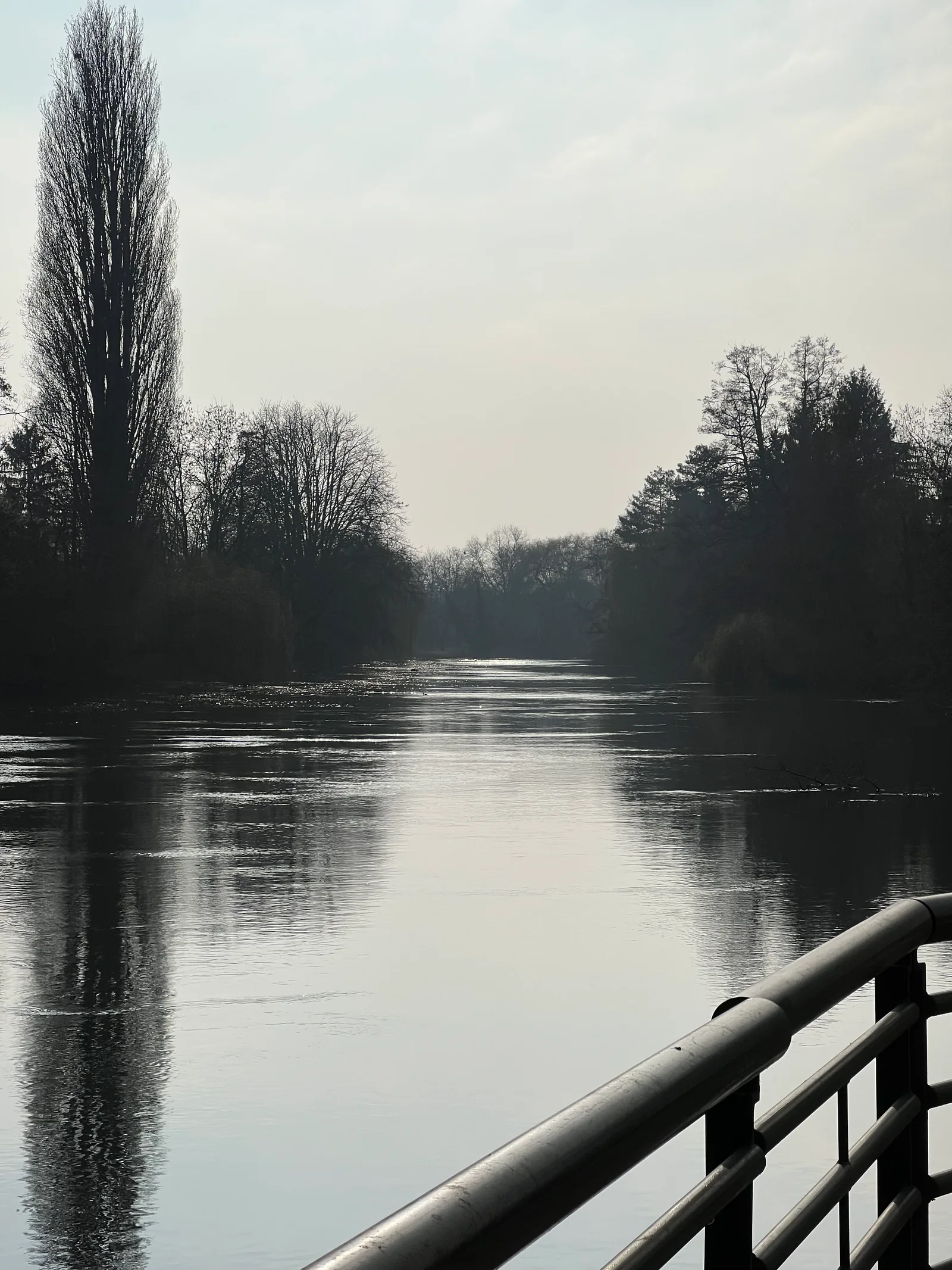 Atmosphere at Parc naturel urbain Ill Bruche Strasbourg — travel photo