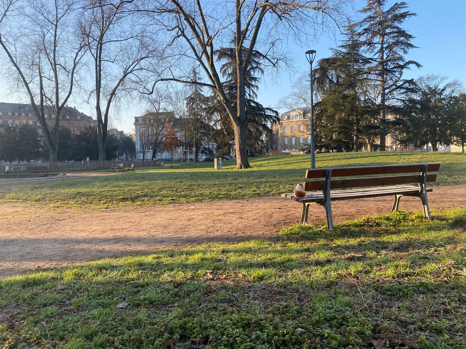 Parc Place de Haguenau
