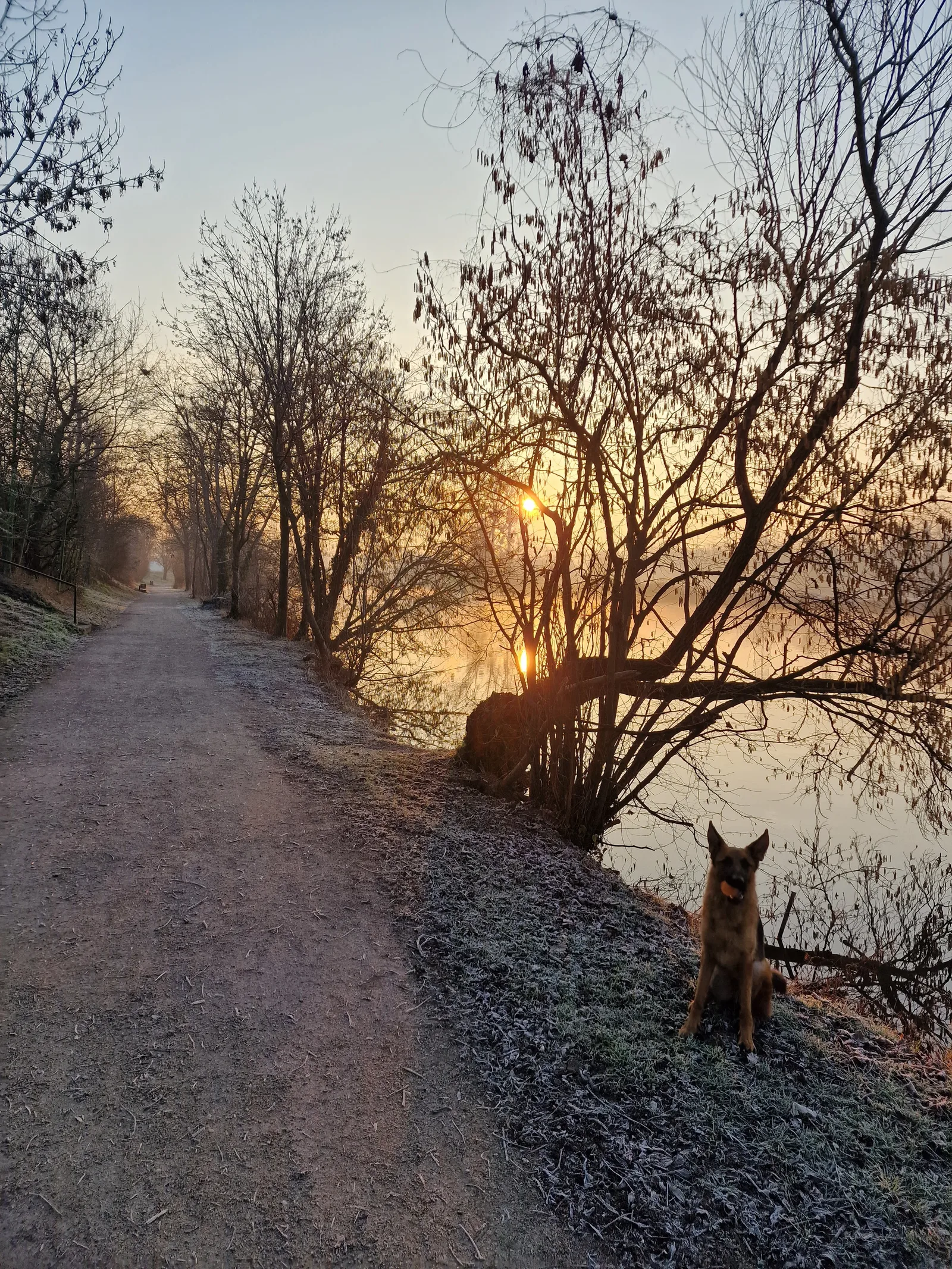 Main view at Parcours des Muhlbach Urban Natural Park Strasbourg — travel photo