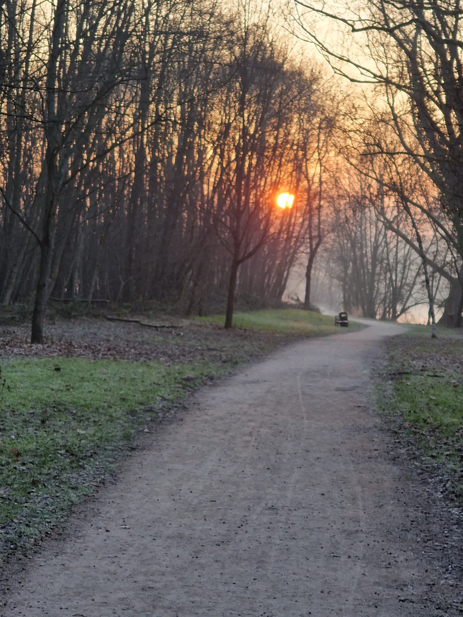 Interior at Parcours des Muhlbach Urban Natural Park Strasbourg — travel photo