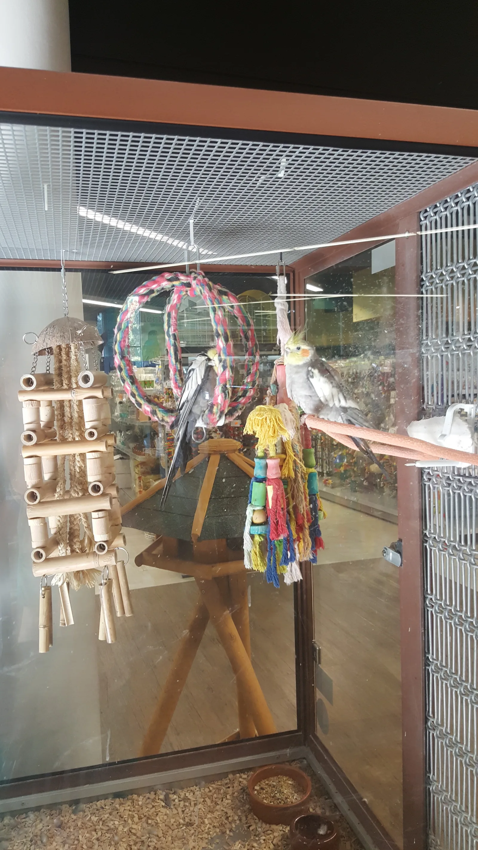 Main view at Pet Nilufar Strasbourg-Geispolsheim Strasbourg — travel photo