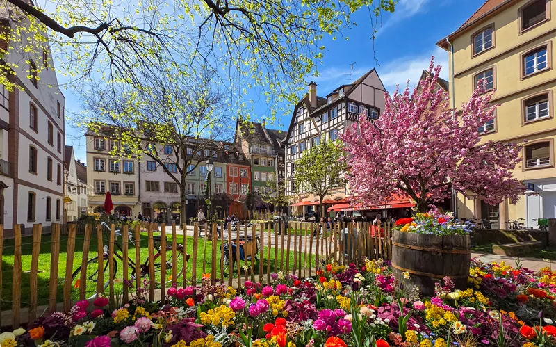 Place des Tripiers