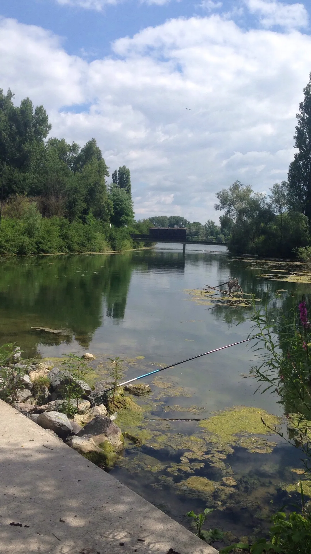 Main view at Réserve Naturelle de l'Île-du-Rohrschollen Strasbourg — travel photo