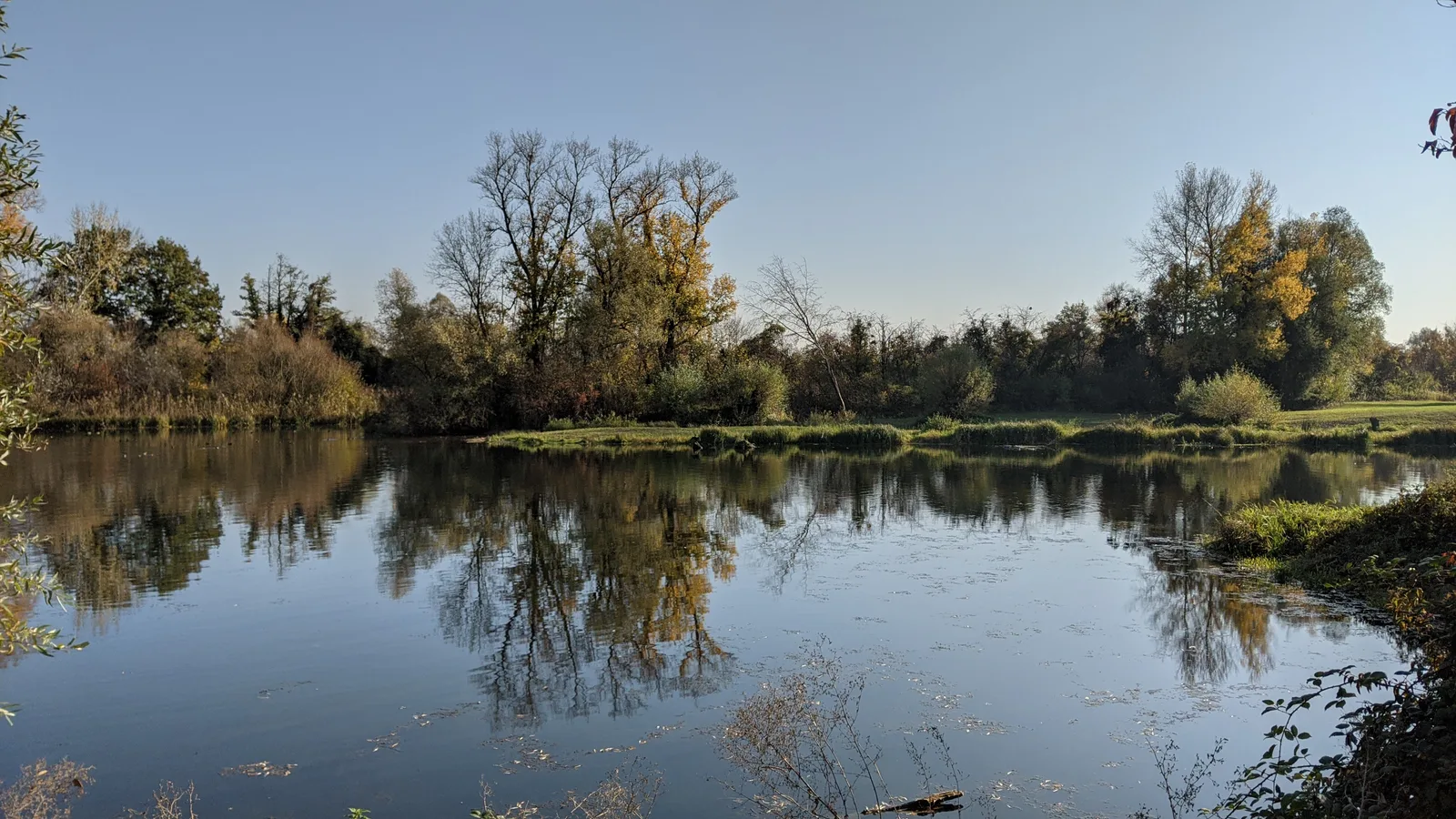 Réserve Naturelle de l'Île-du-Rohrschollen — budget guide Strasbourg