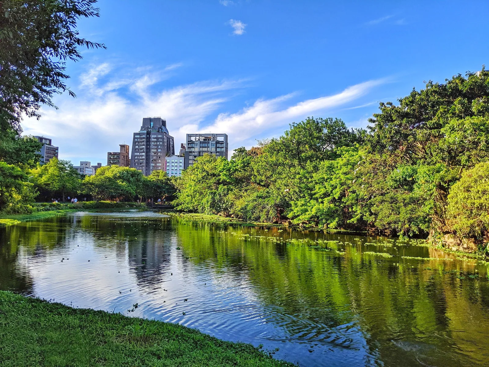 Main view at Daan Park Taipei — travel photo