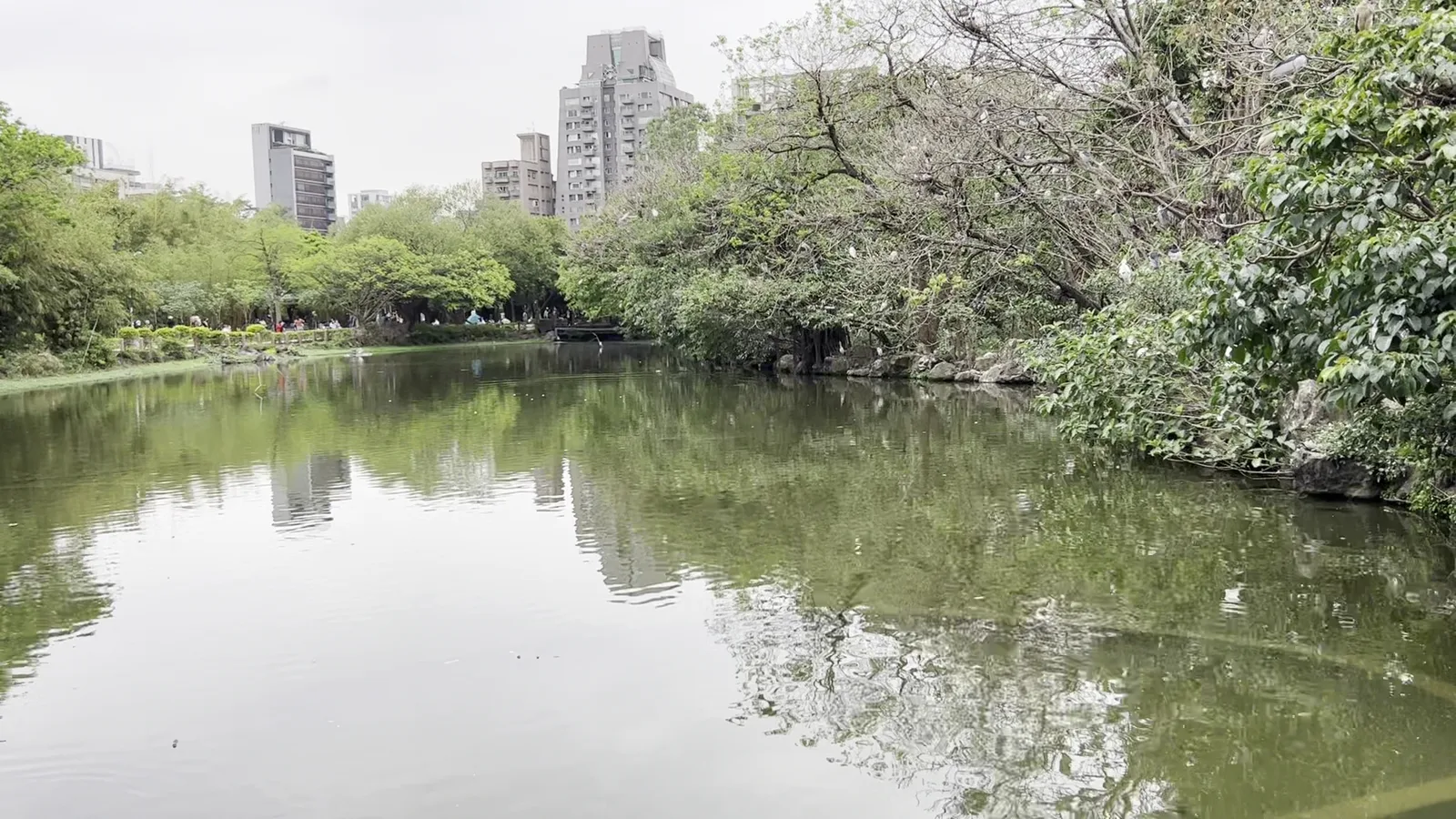 Atmosphere at Daan Park Taipei — travel photo