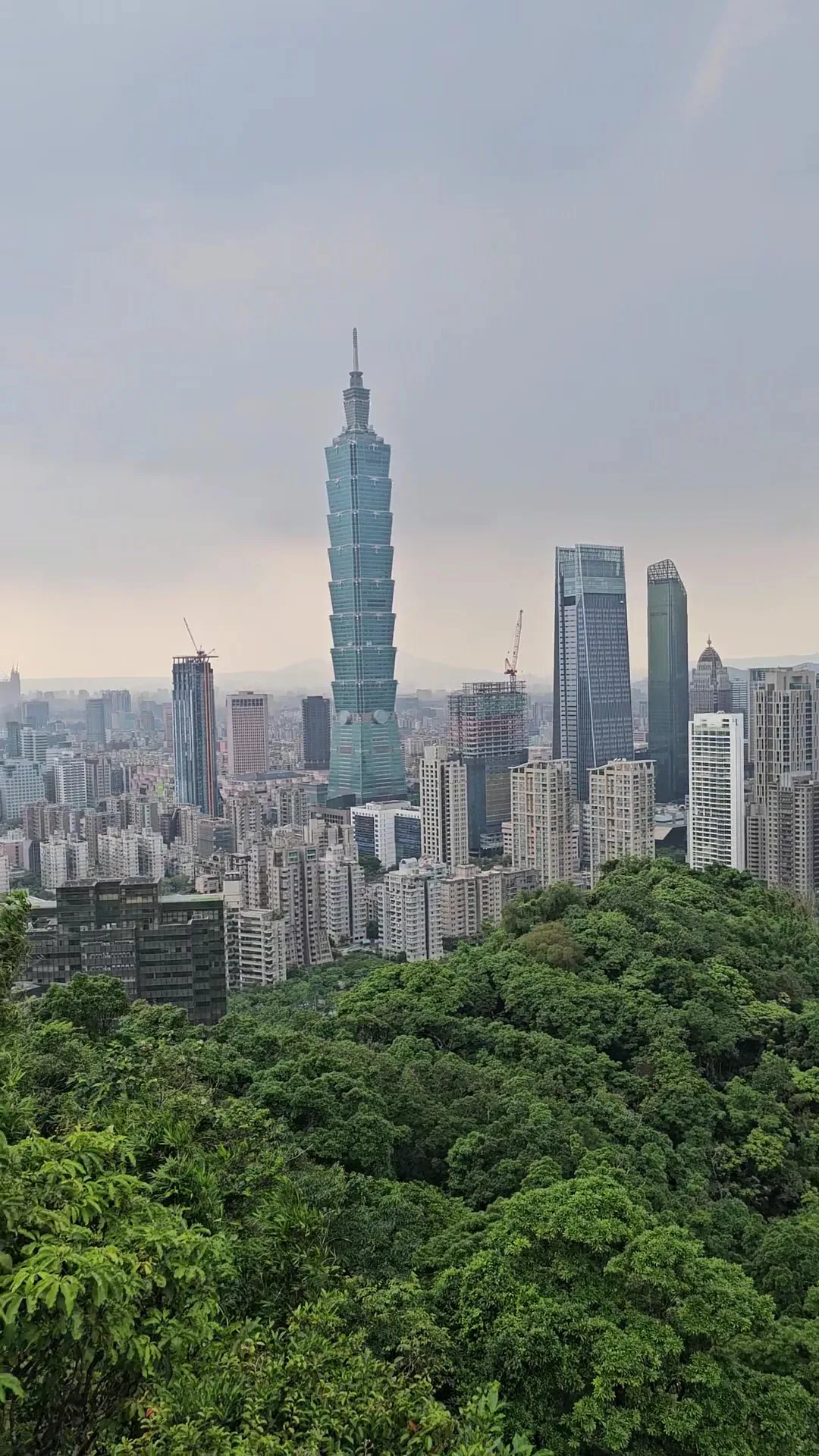 Details at Elephant Mountain Trail Taipei — travel photo