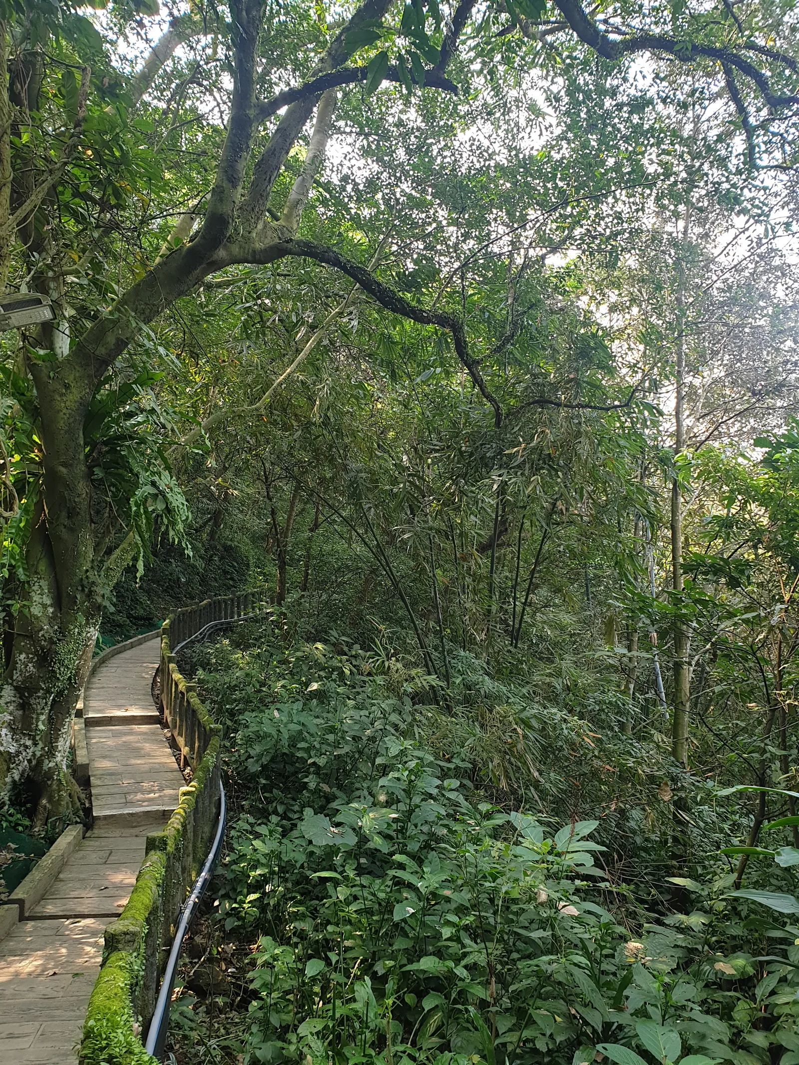 Interior at Four Beasts Scenic Area Taipei — travel photo