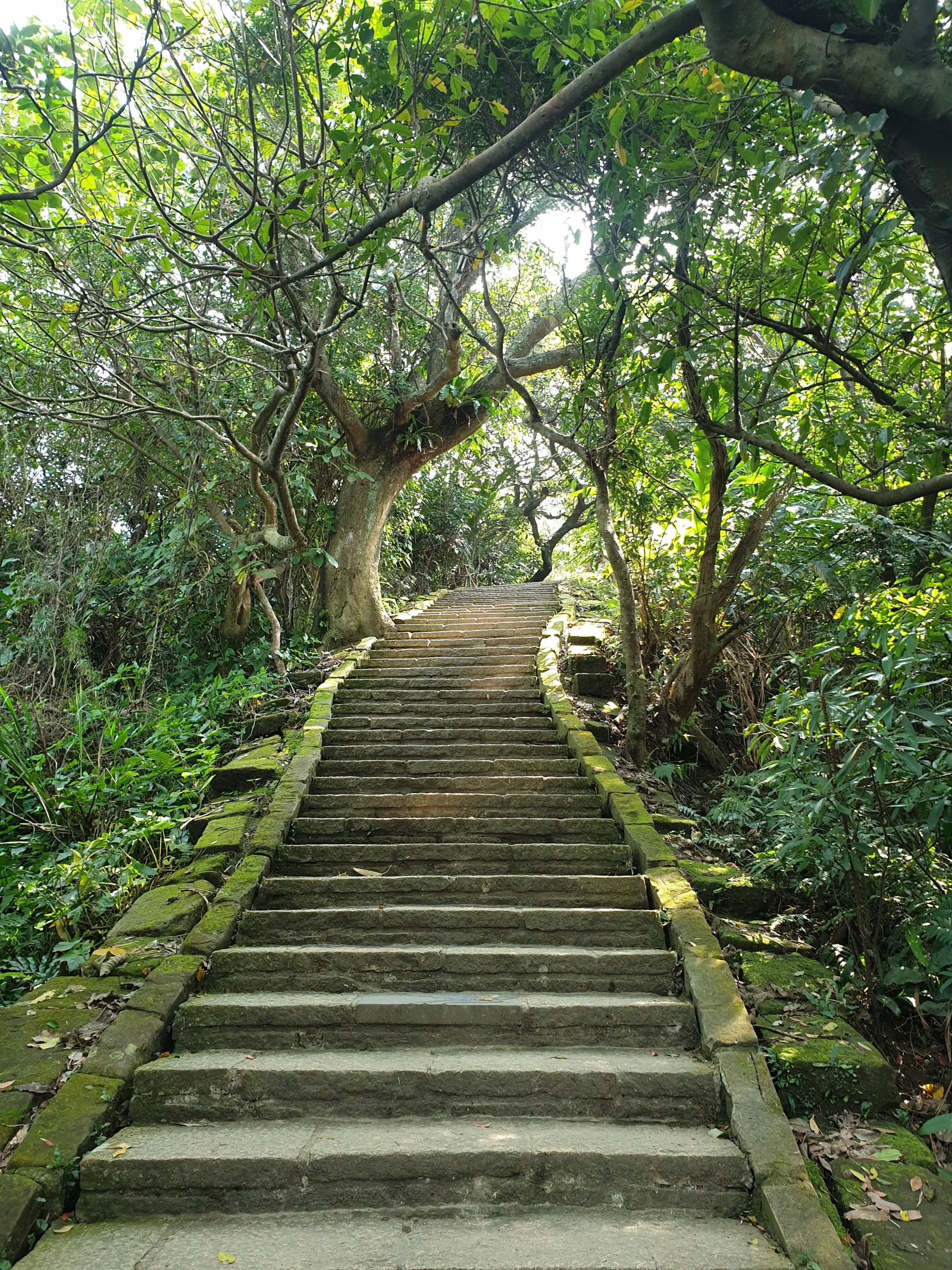 Atmosphere at Four Beasts Scenic Area Taipei — travel photo