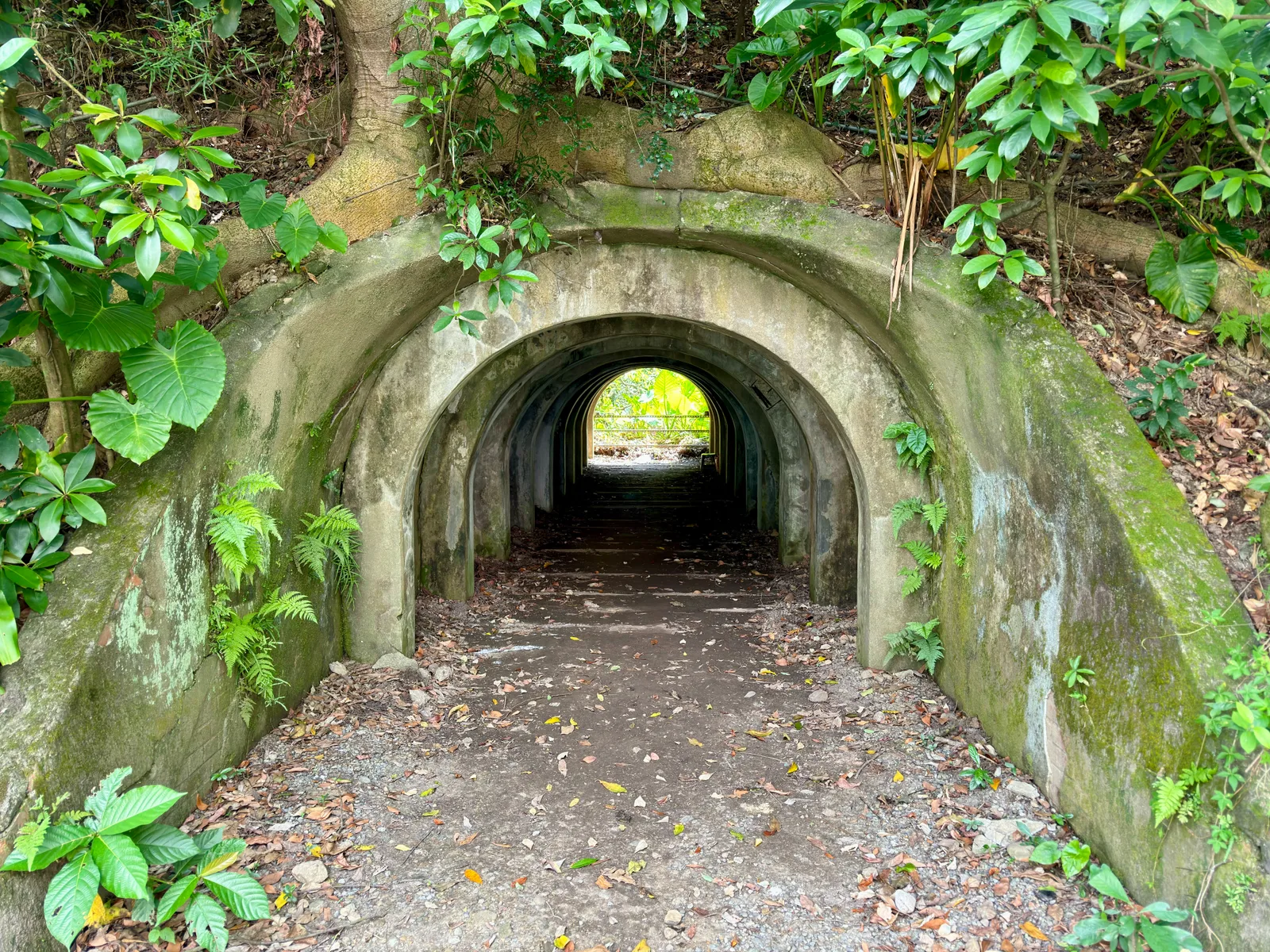 Main view at Fuyang Eco Park Taipei — travel photo