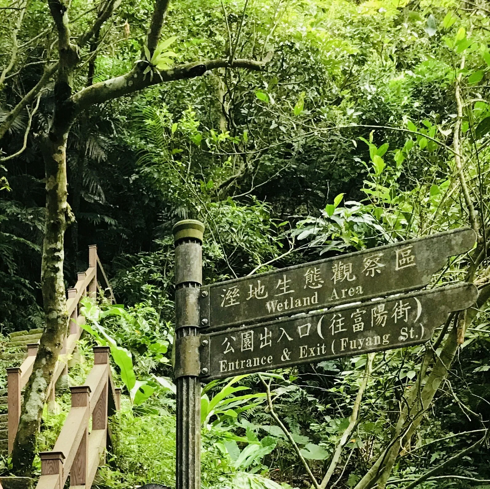 Atmosphere at Fuyang Eco Park Taipei — travel photo