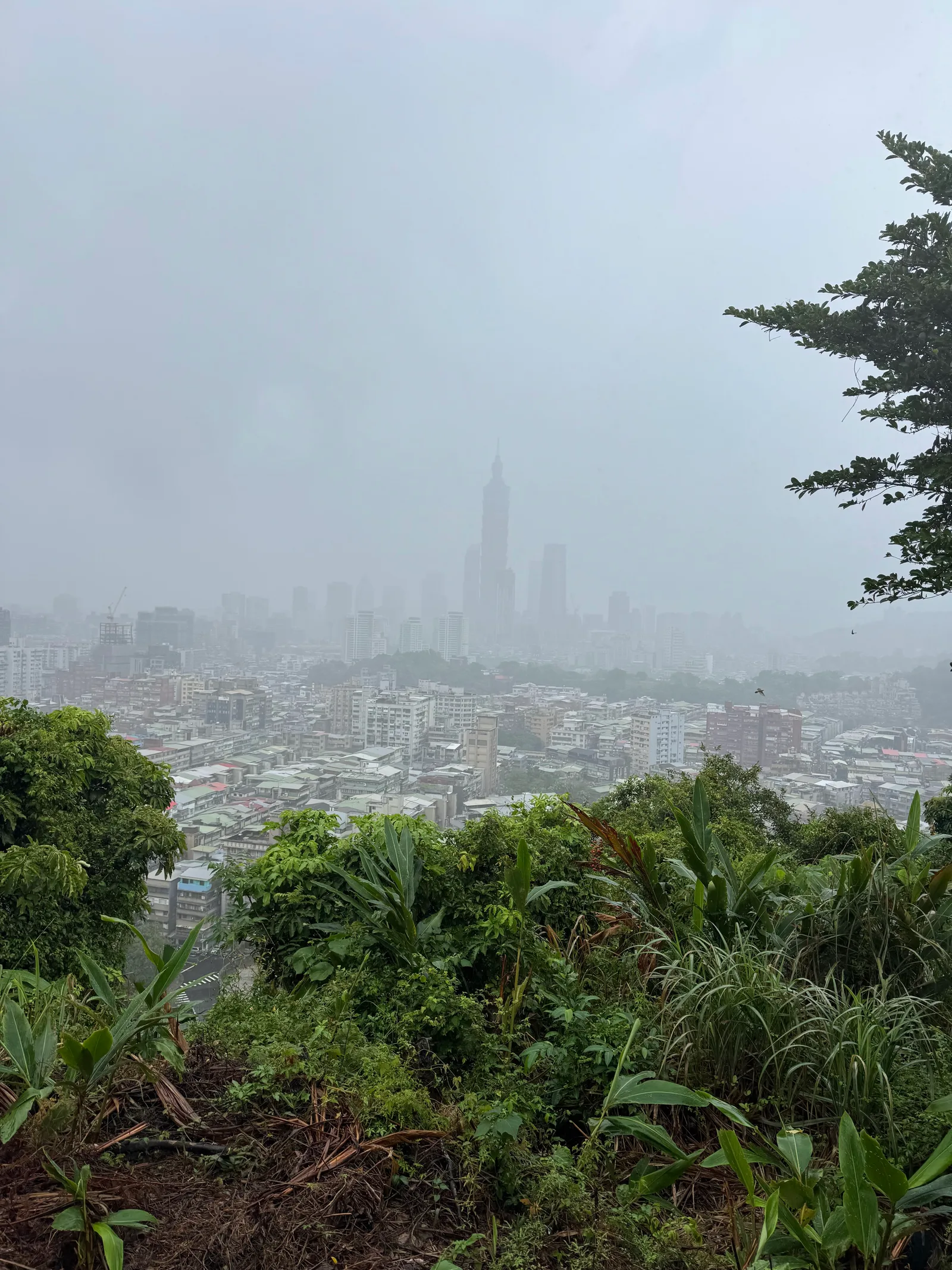 Atmosphere at Fuzhou Shan Park Taipei — travel photo