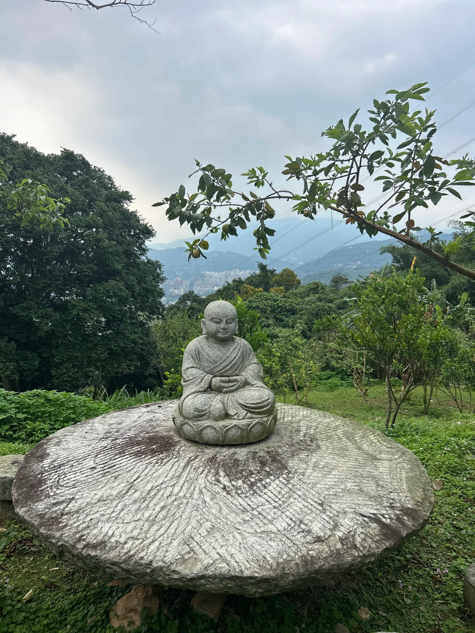 Details at Garden91草山玉溪 (需預約reservation needed) Taipei — travel photo