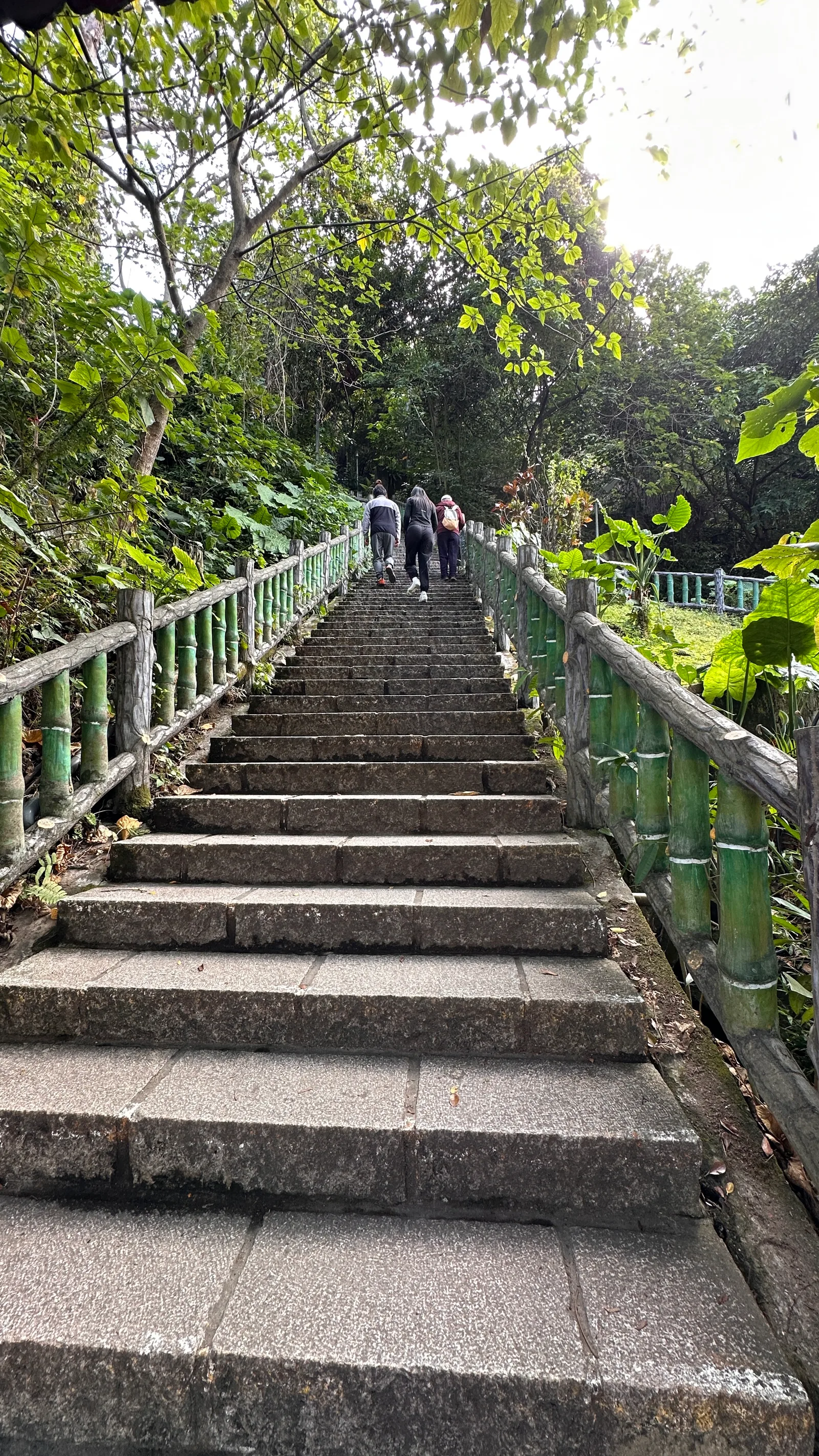 Details at Jiantanshan Trail Taipei — travel photo