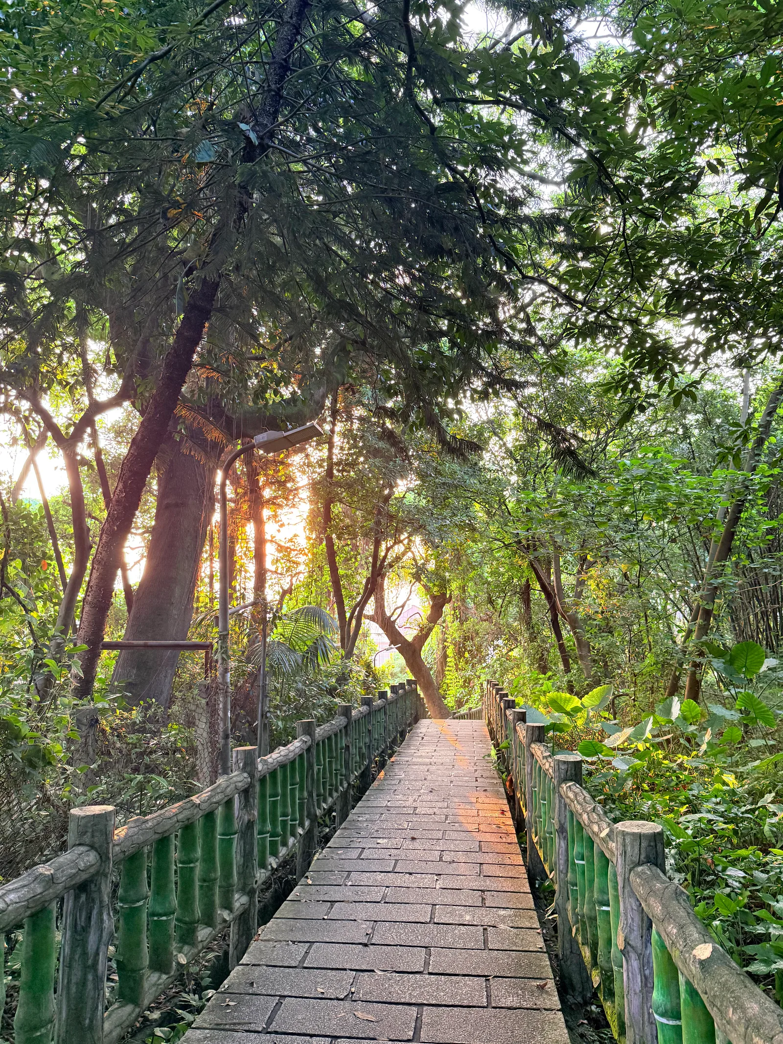 Jiantanshan Trail — hidden gems guide Taipei