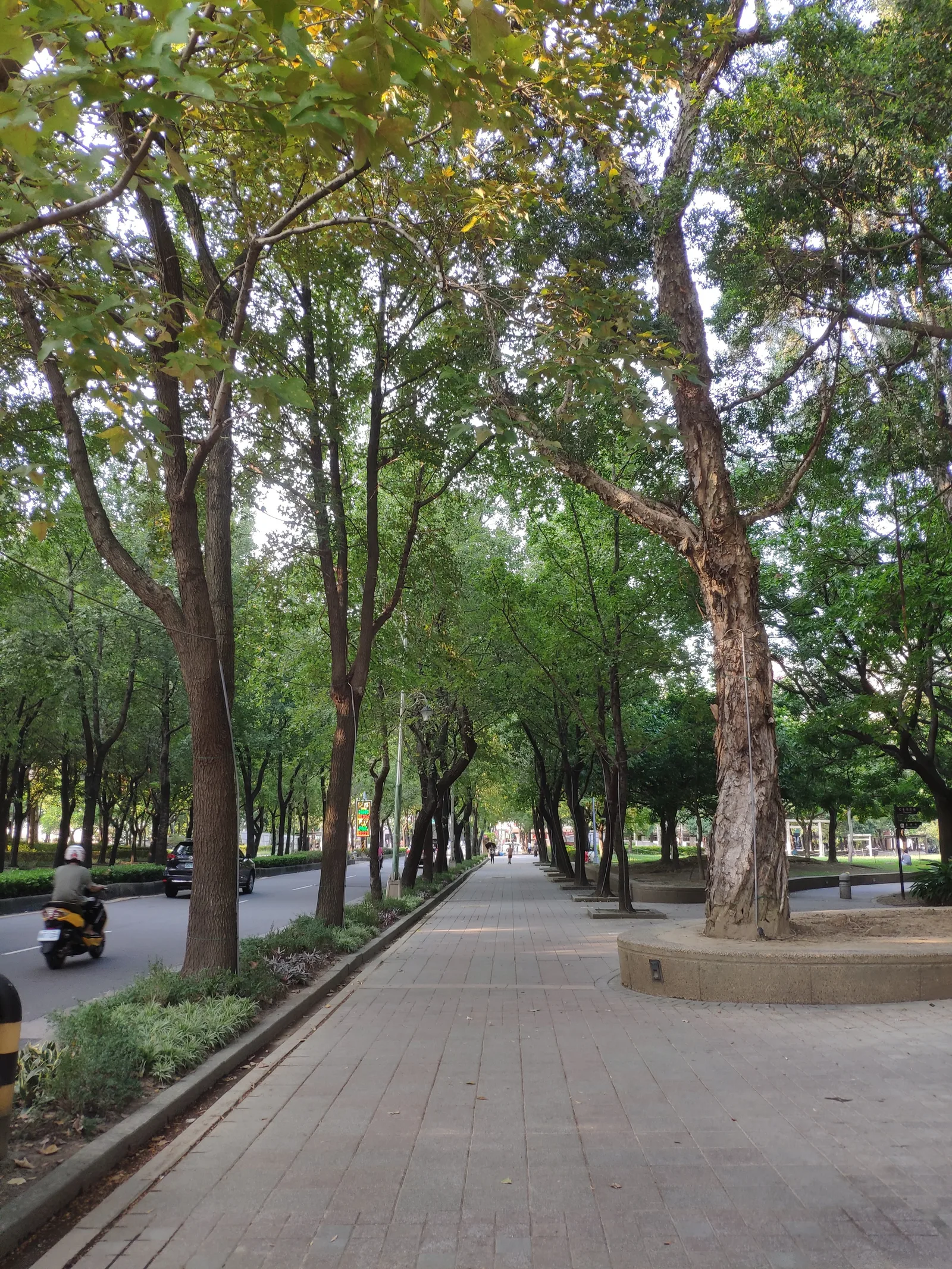 Atmosphere at Linsen Park Taipei — travel photo