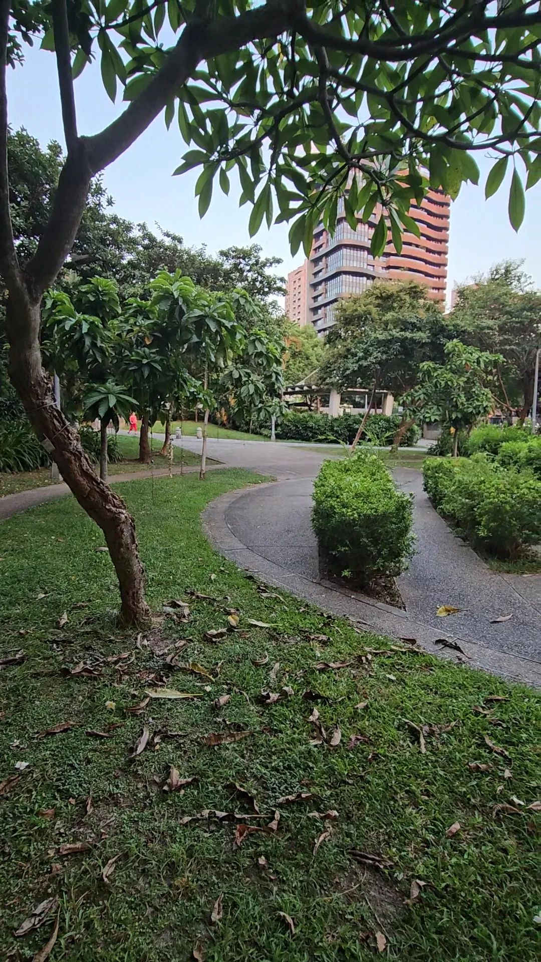 Linsen Park
