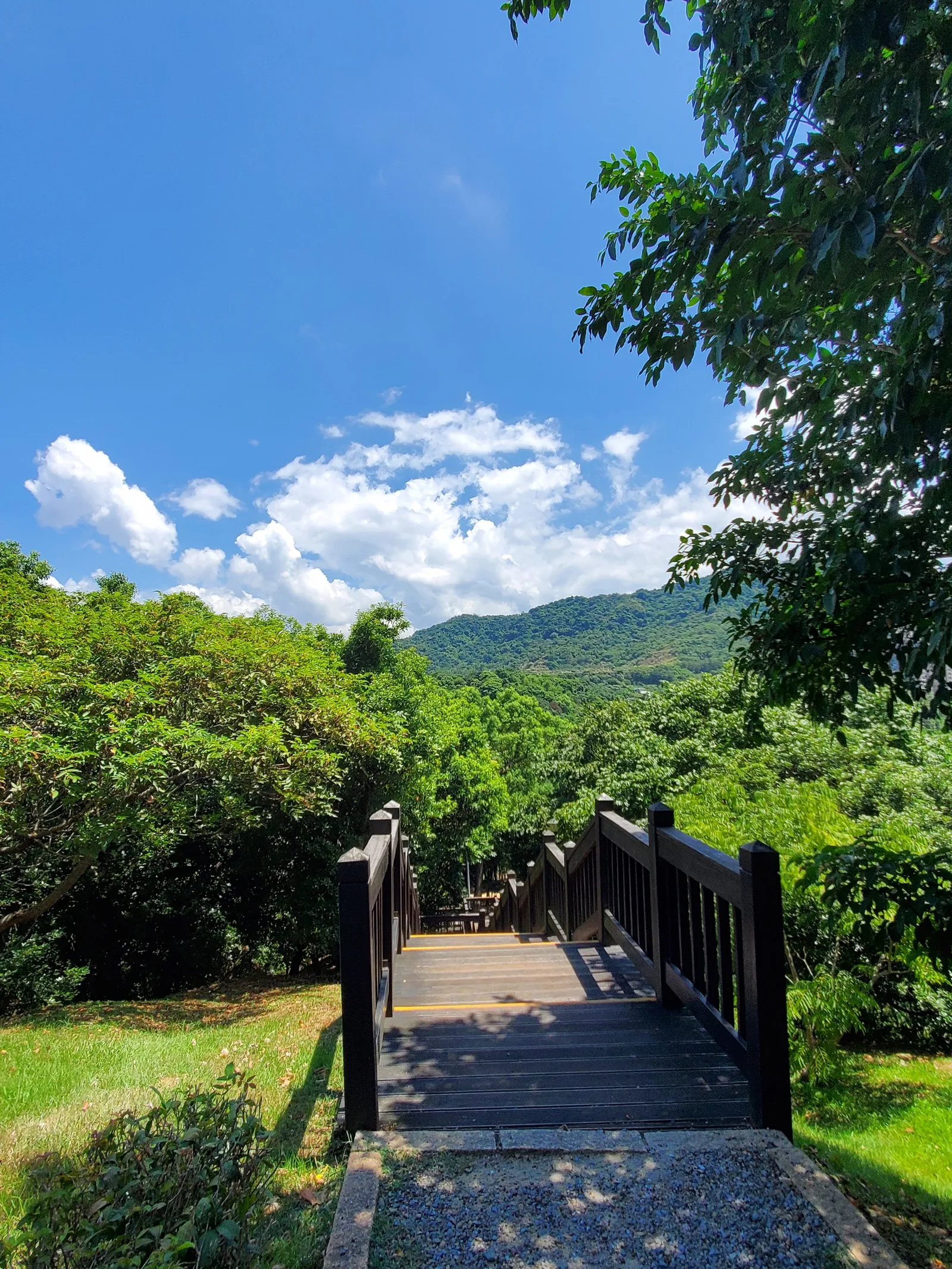 Atmosphere at Nangang Park Taipei — travel photo