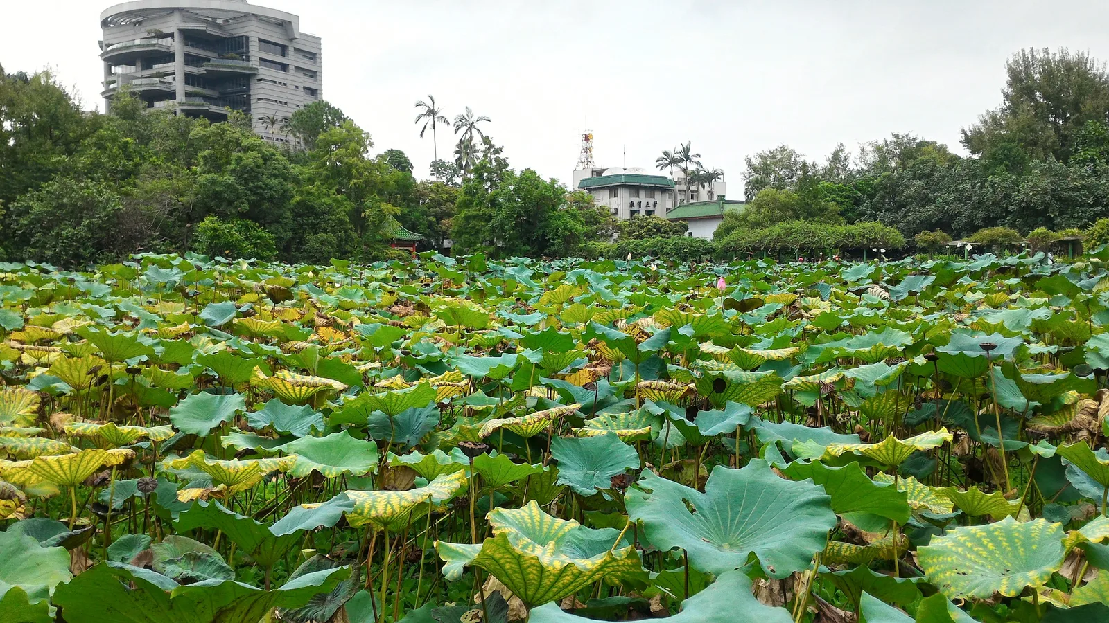 Interior at National Museum of History Taipei — travel photo