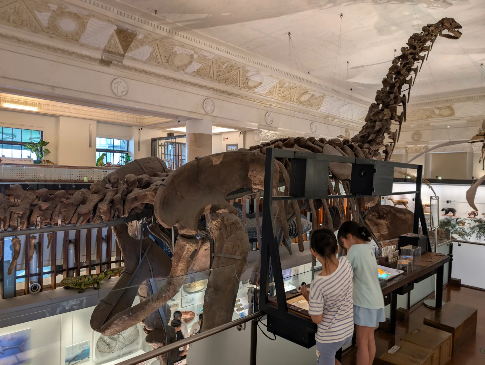 Atmosphere at National Taiwan Museum Taipei — travel photo