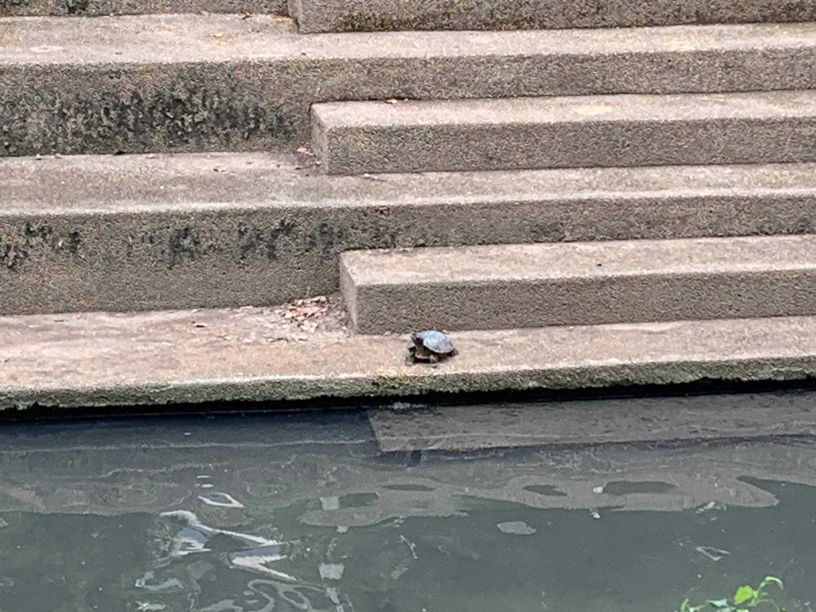 Atmosphere at Shilin Residence Park Taipei — travel photo
